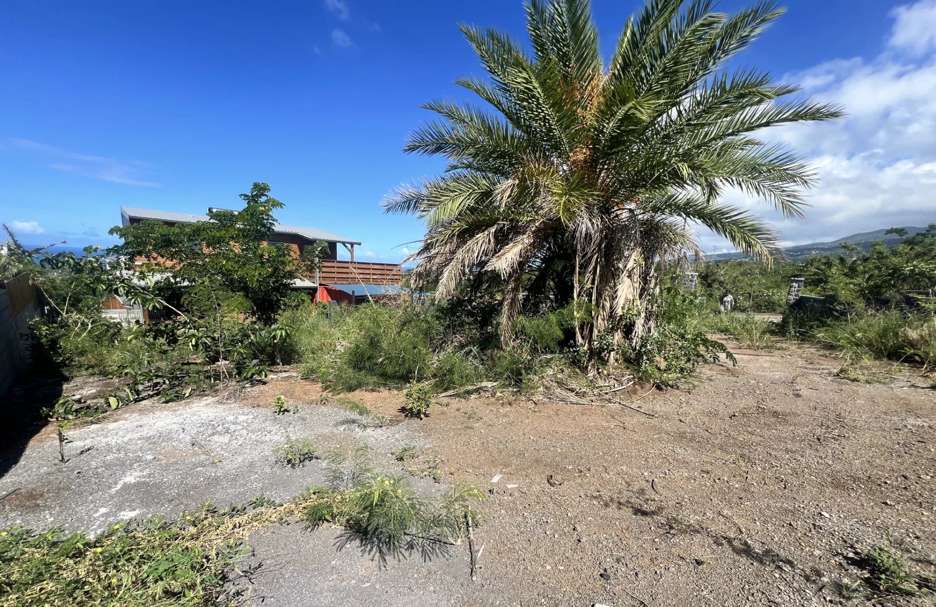 Vente Terrain Saint-Louis