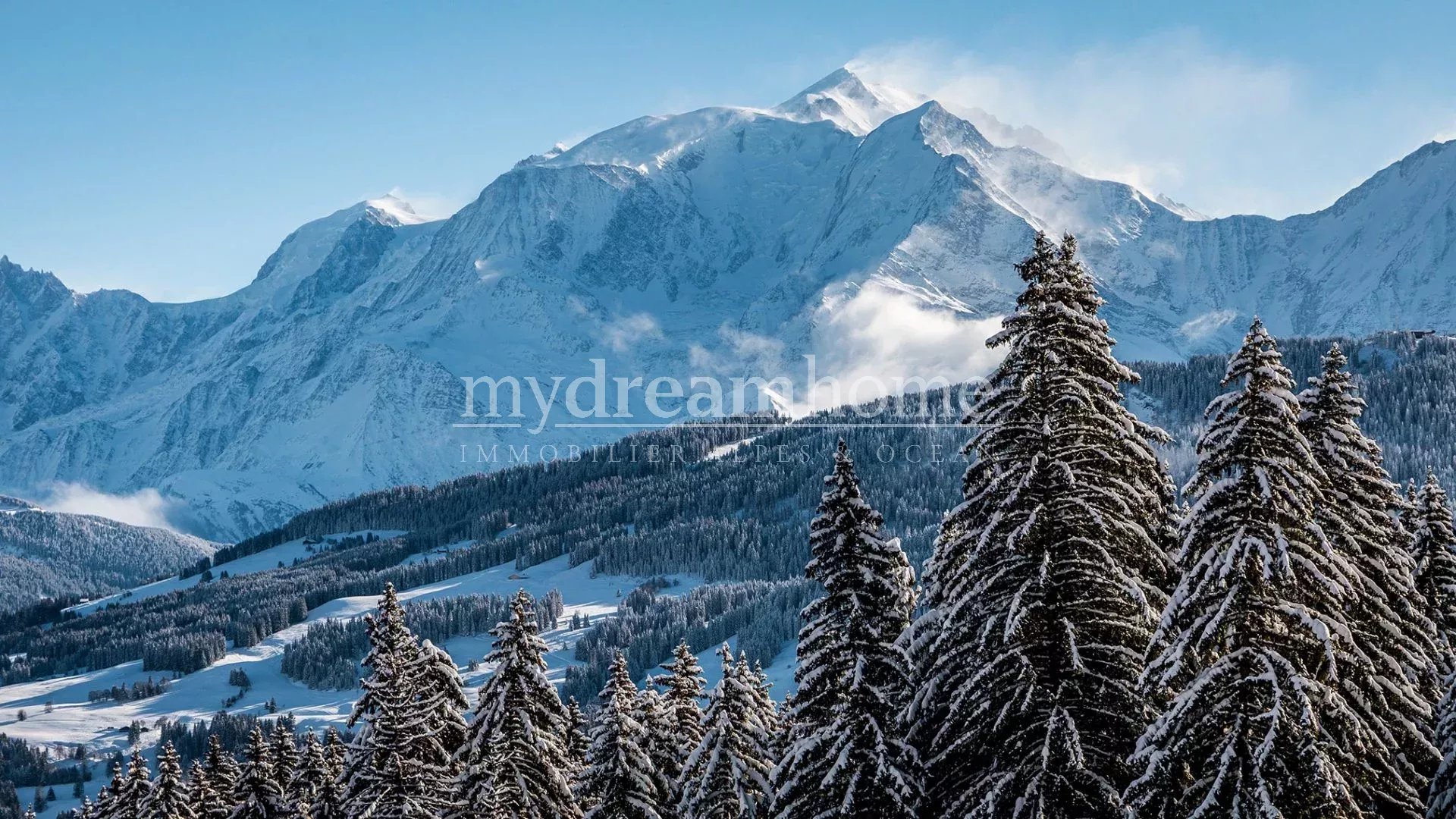Agence immobilière de MY DREAM HOME