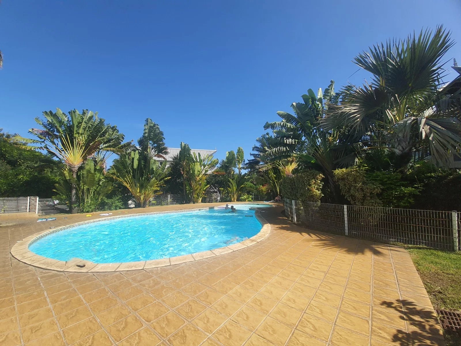 Location Appartement La Saline les Bains