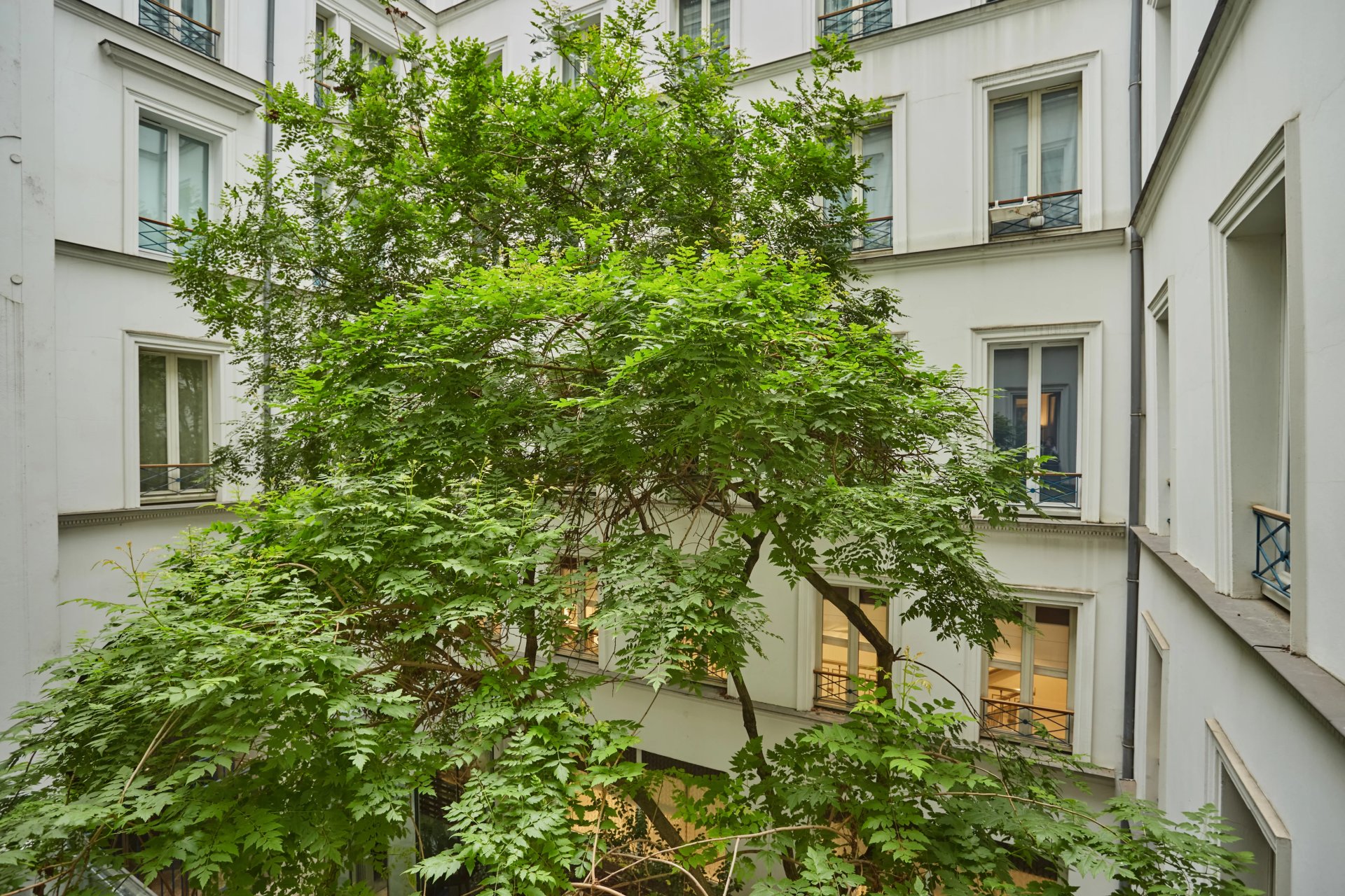 1 Bedroom Apartment/Flat's Image 3