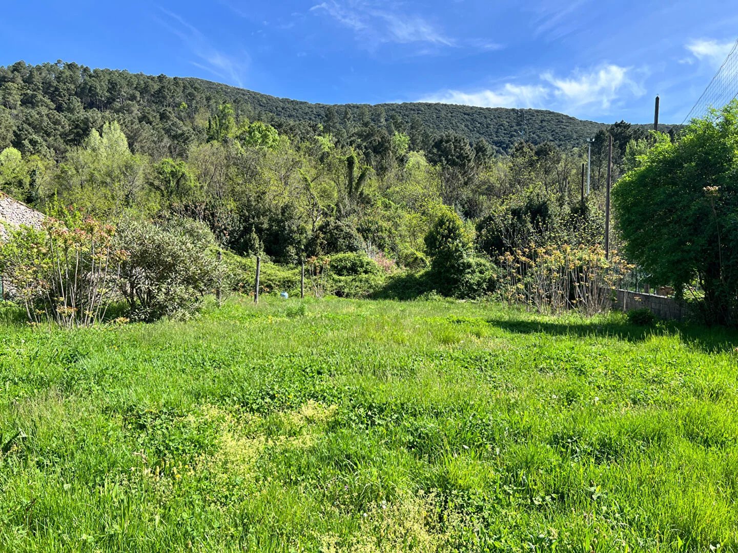 Vente Terrain Saint-Florent-sur-Auzonnet