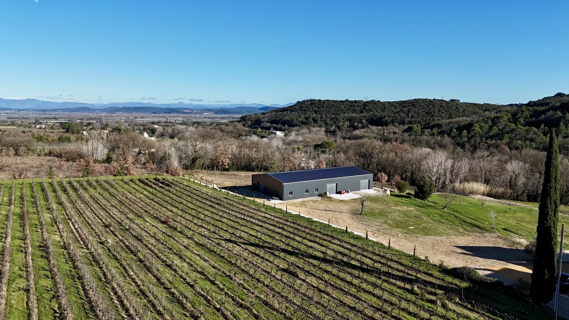 8 Bedroom Vineyard's Image 9