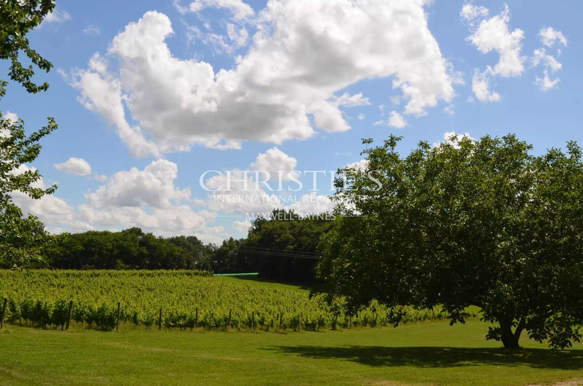 8 Bedroom Vineyard's Image 4