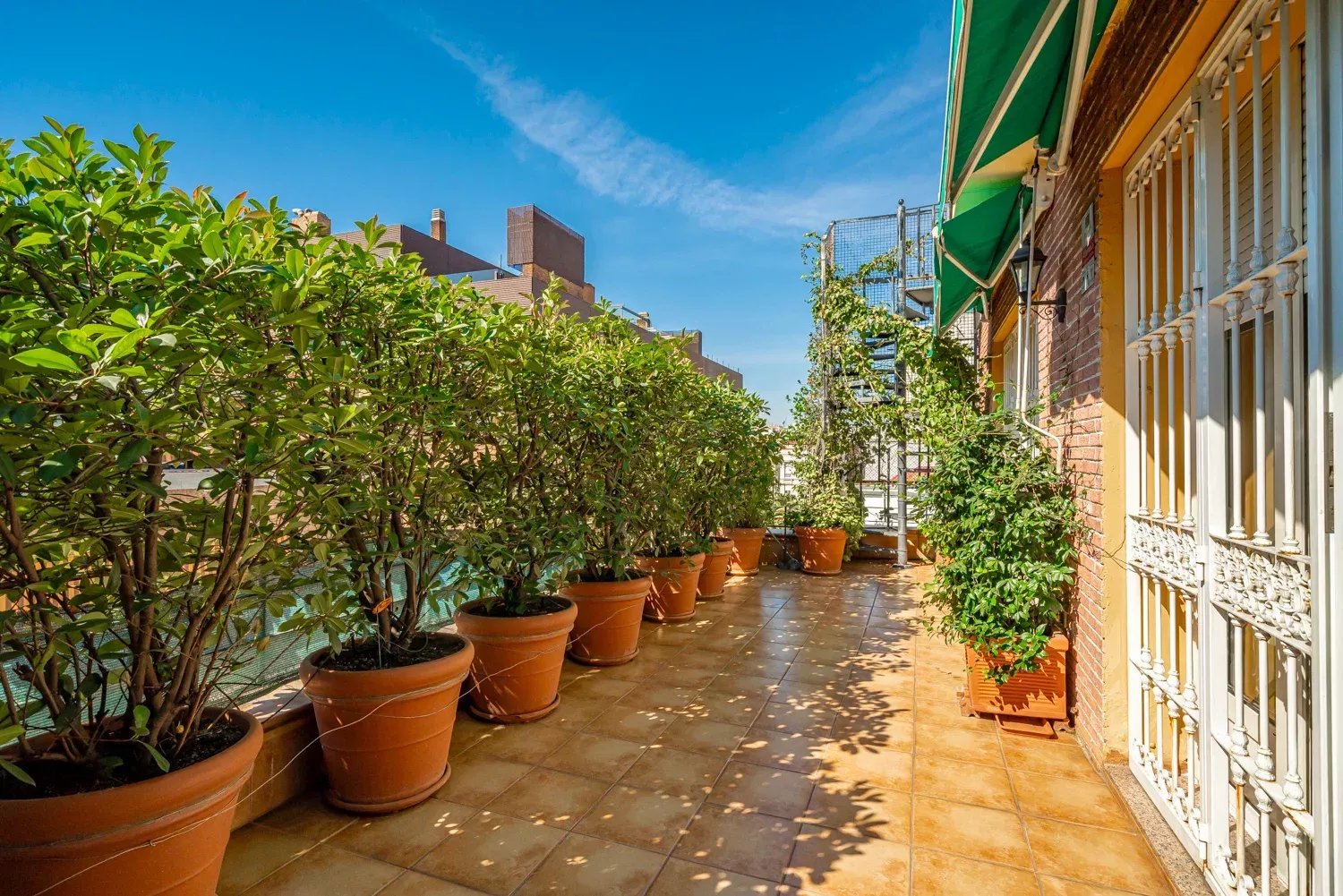 Daire Madrid - picture 28