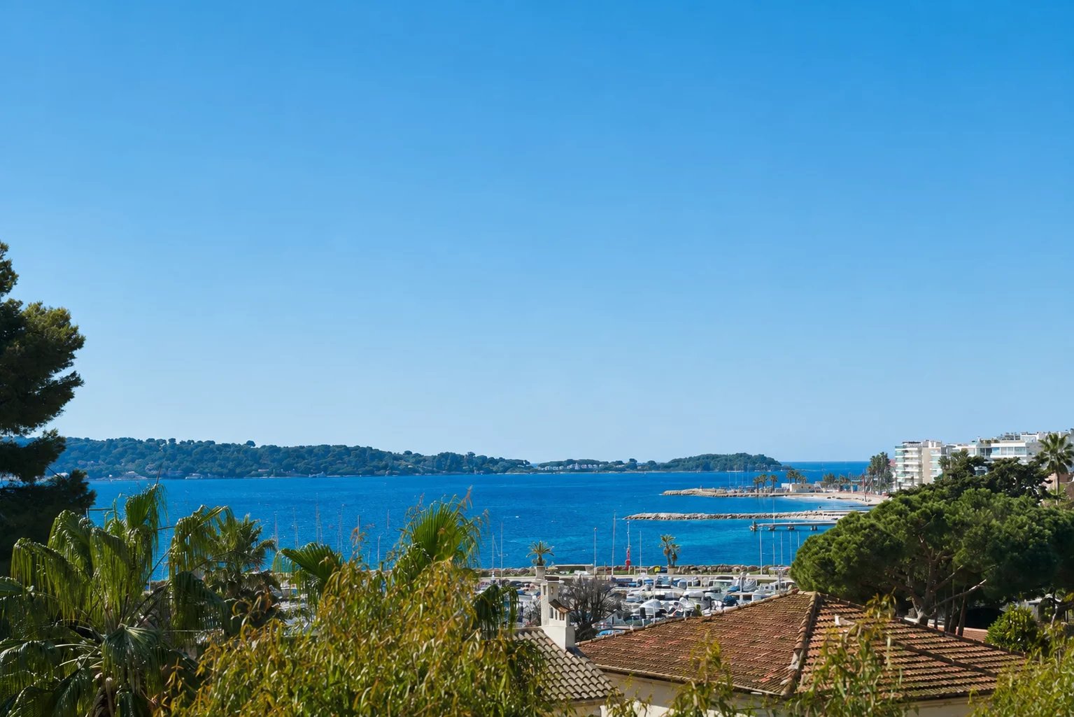 Cannes Palm Beach - Magnifique 4 pièces vue Mer