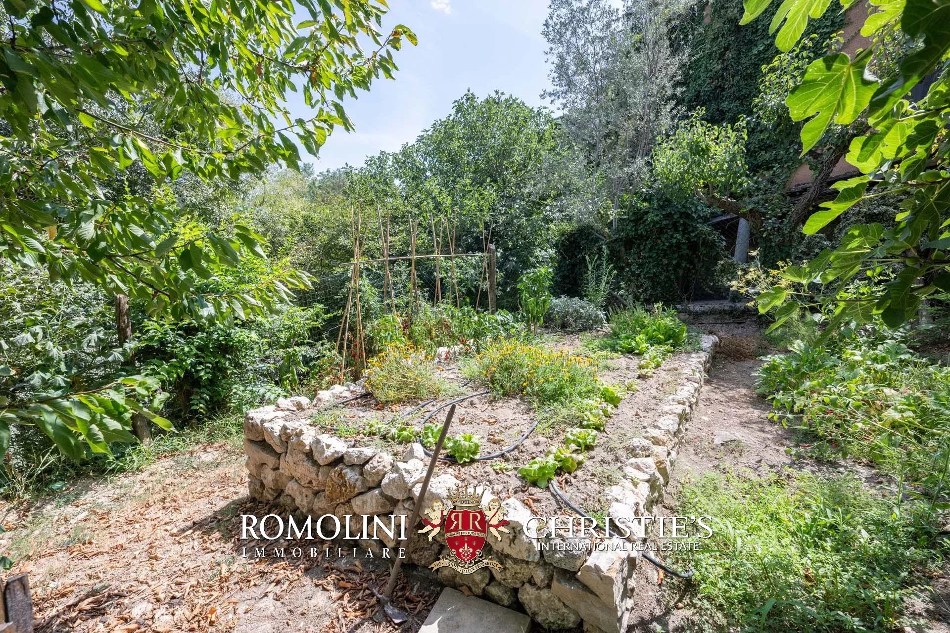 4 Bedroom Villa/Townhouse's Image 6