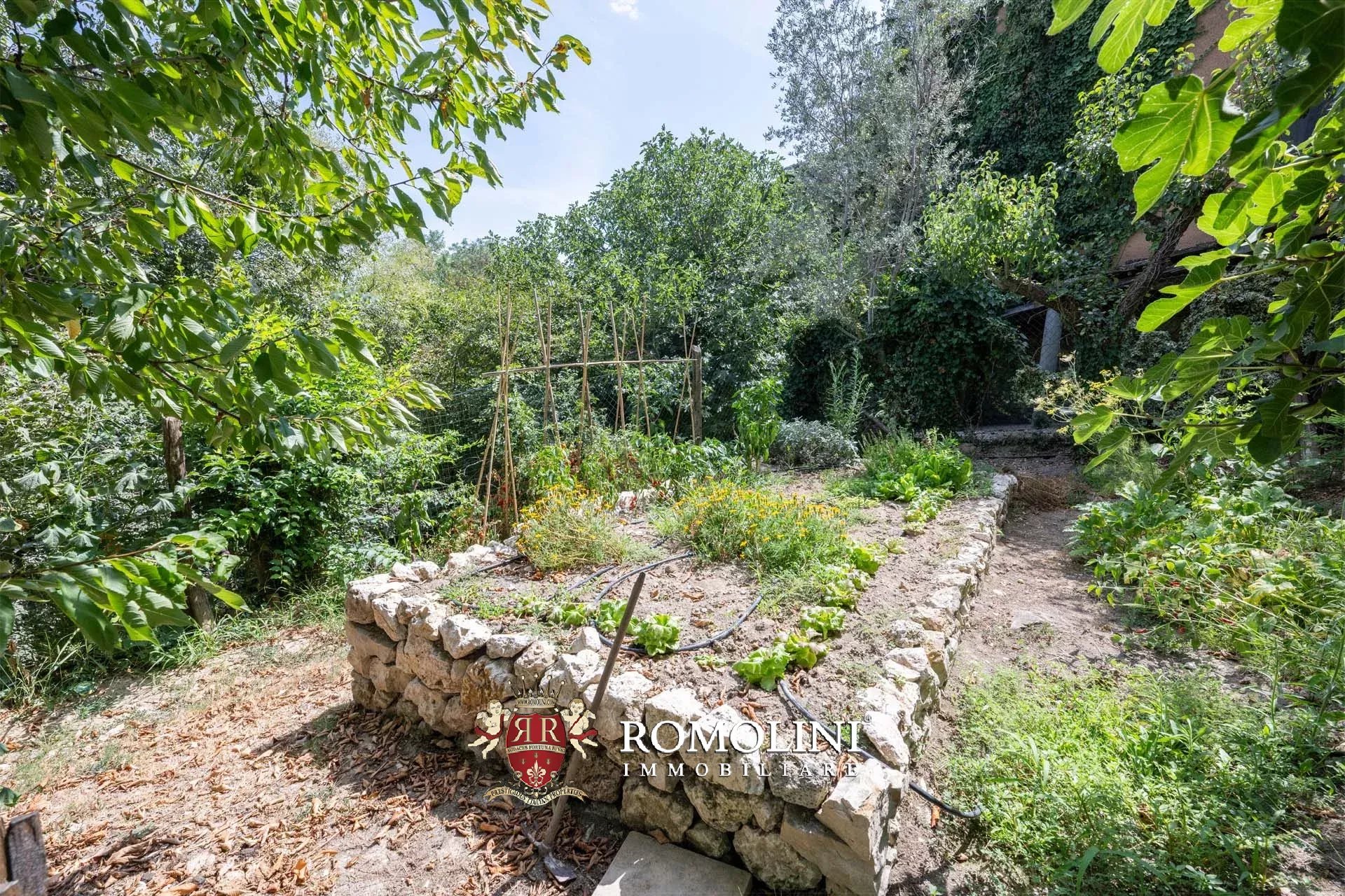 4 Bedroom Villa/Townhouse's Image 6