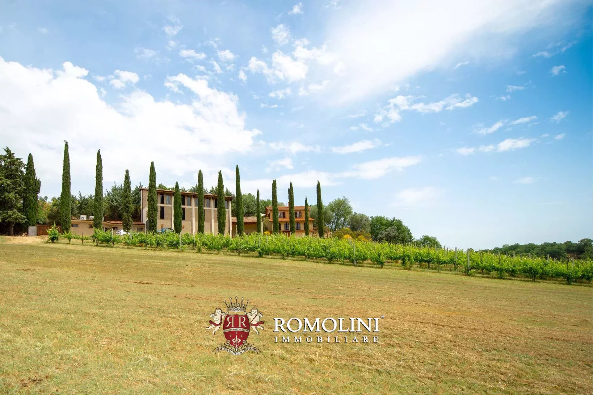 2 Bedroom Vineyard's Image 9