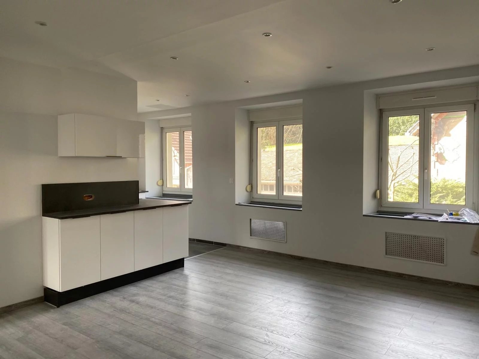 APPARTEMENT 5 PIECES ENTIEREMENT RENOVE ALTKIRCH — photo 3