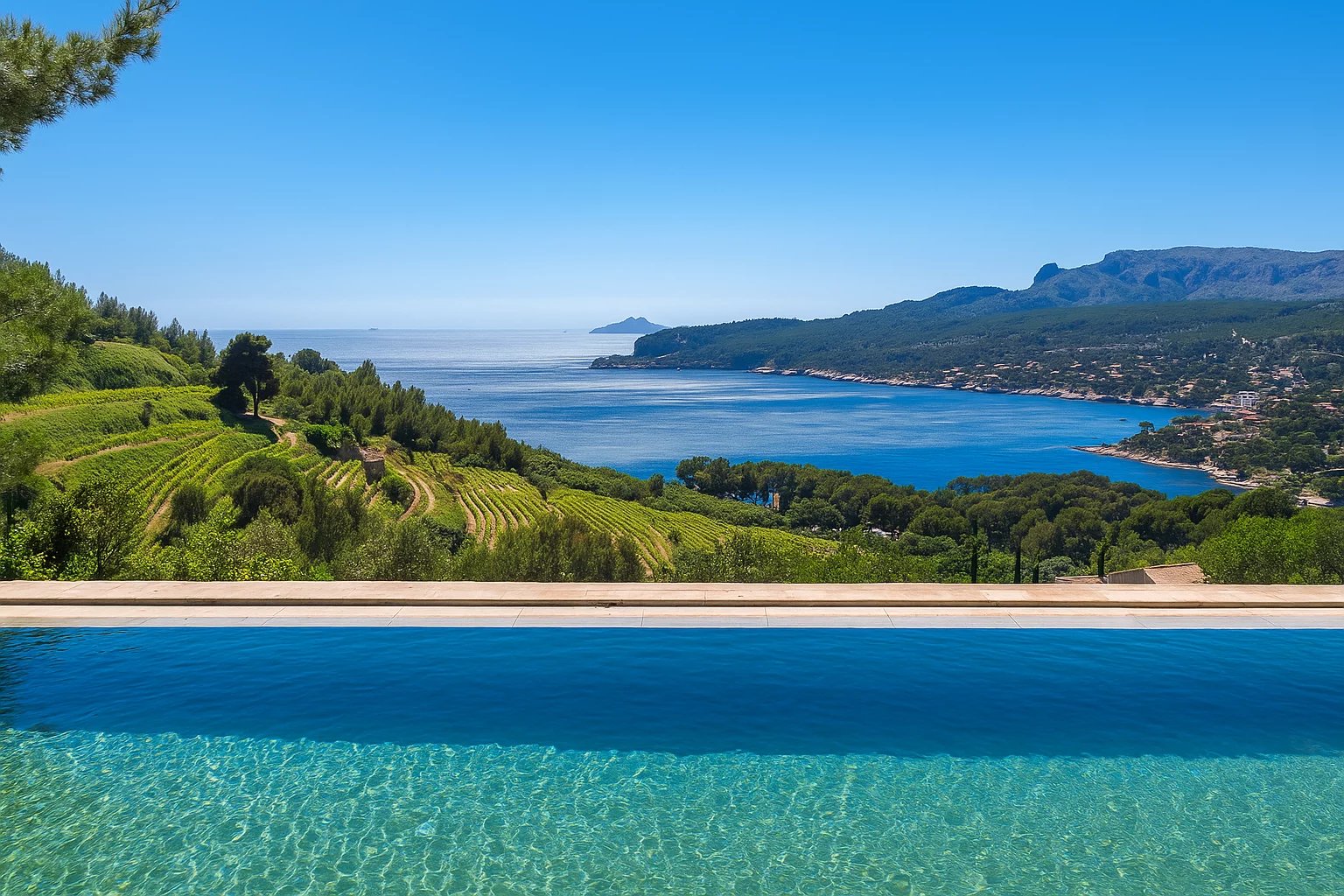 Agence immobilière de Nicolson REALTY