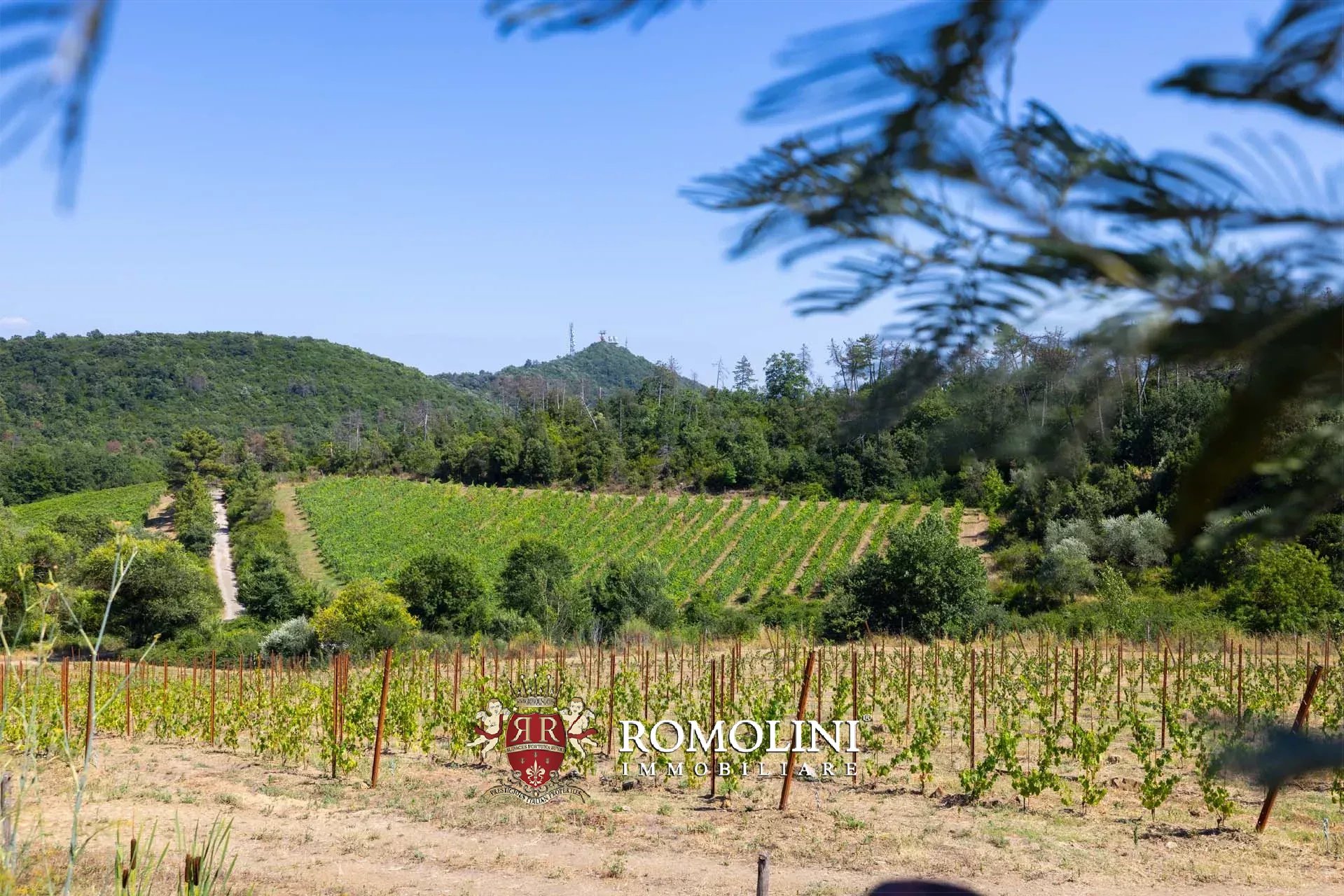 19 Bedroom Vineyard's Image 27