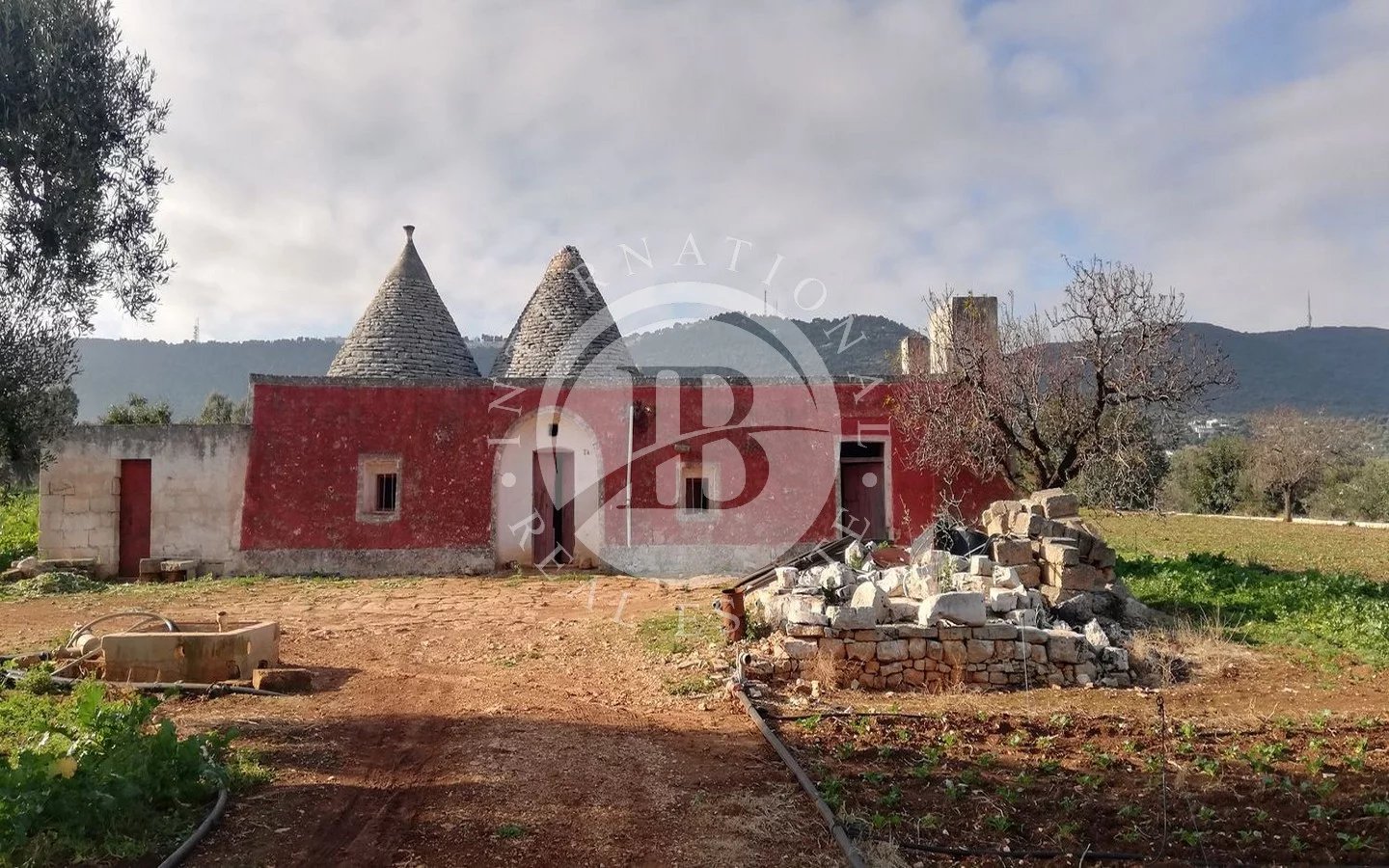 Villa in Fasano - view 1