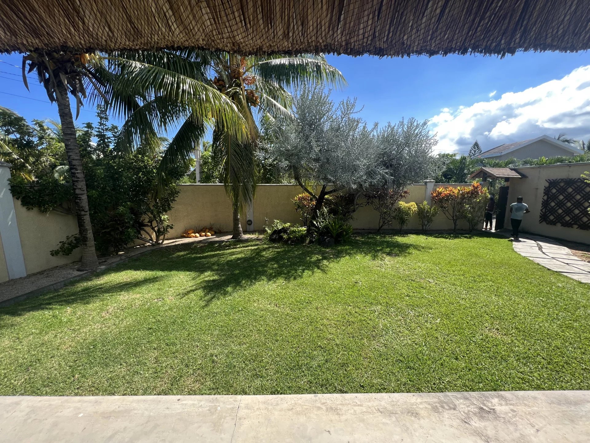 Ev Tamarin - picture 22