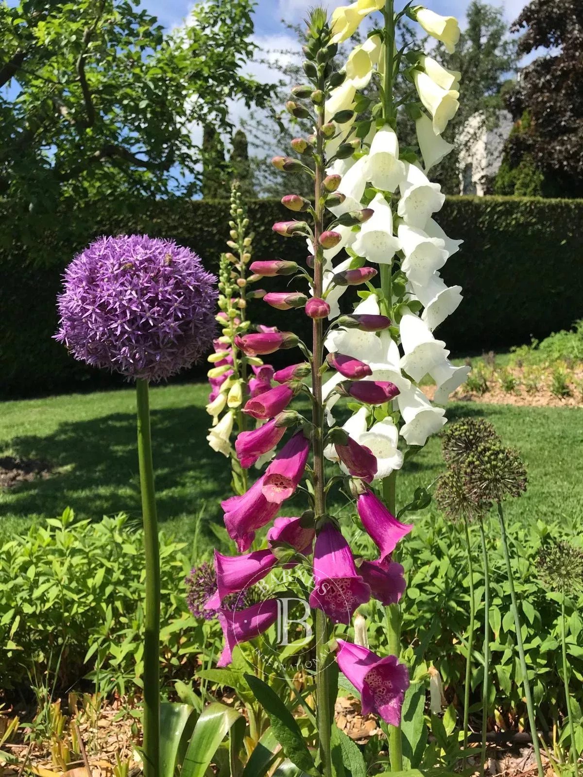 Villa Divonne-les-Bains - picture 36