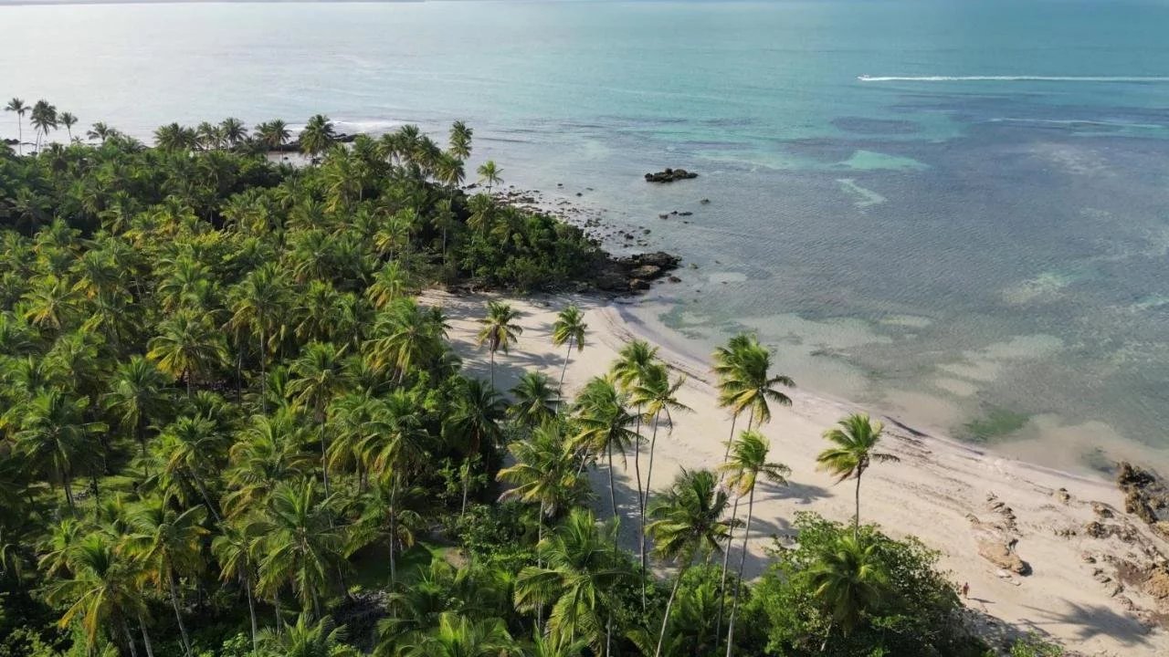 Superbe propriété en bord de mer à vendre à Boipeba-Bahia