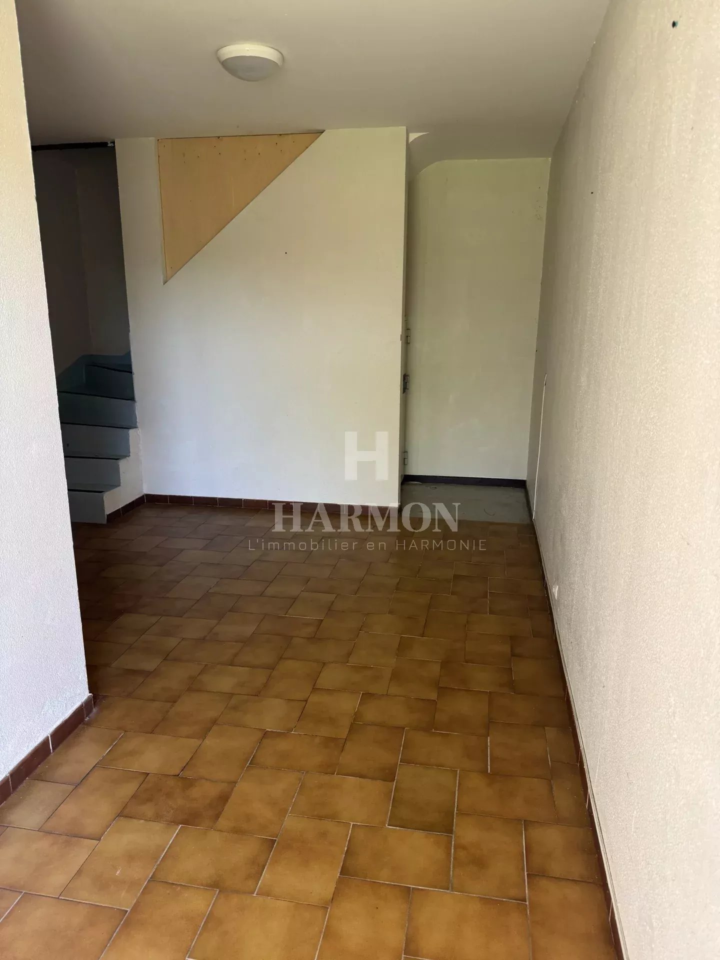 Harmon à vendre – Ensemble immobilier à Serres-Castet (64121) - Photo 3
