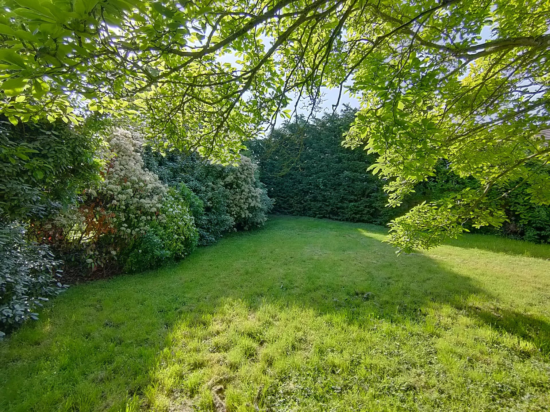 Image de la propriété 16
