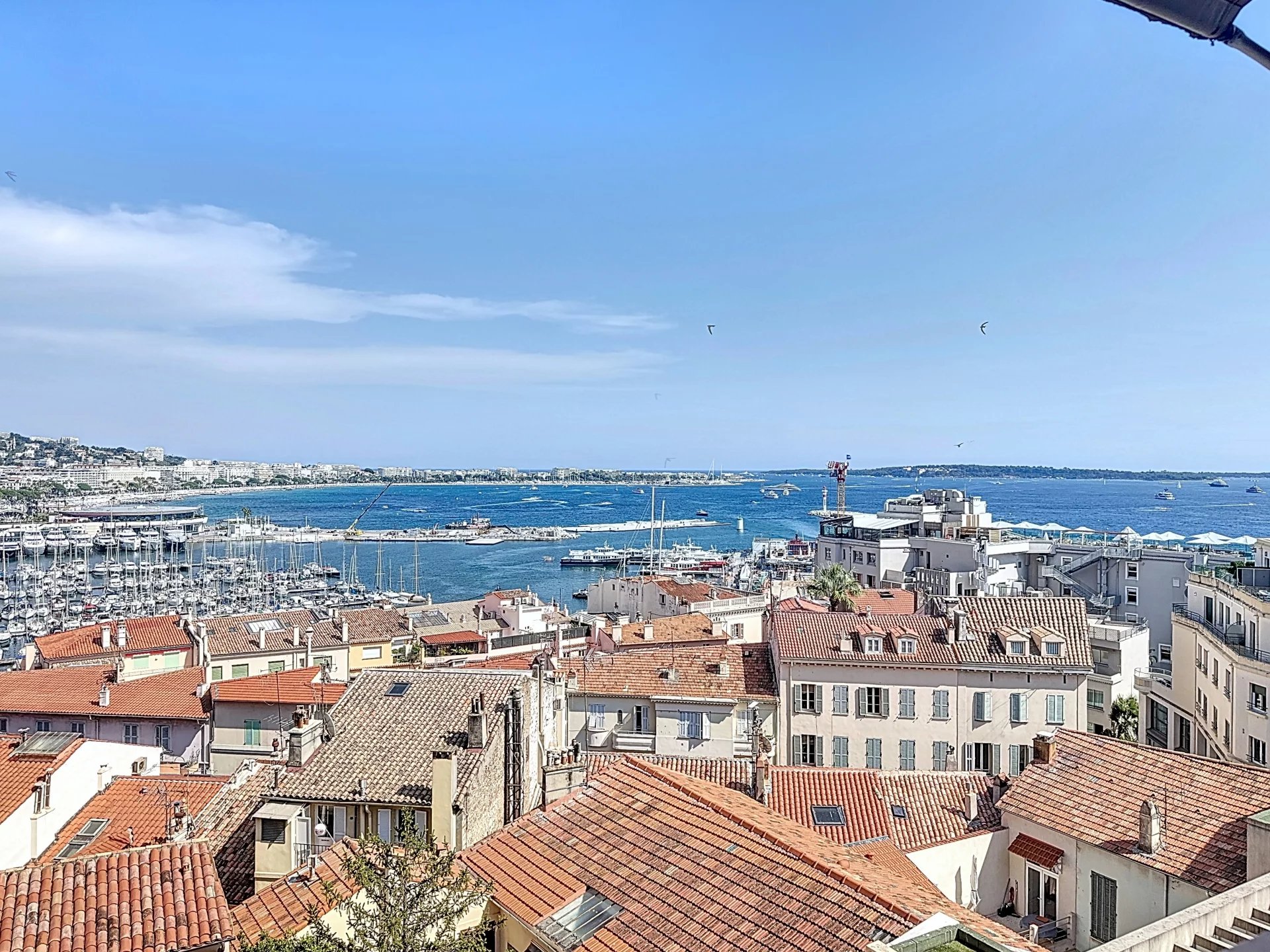 Agence immobilière de J P L