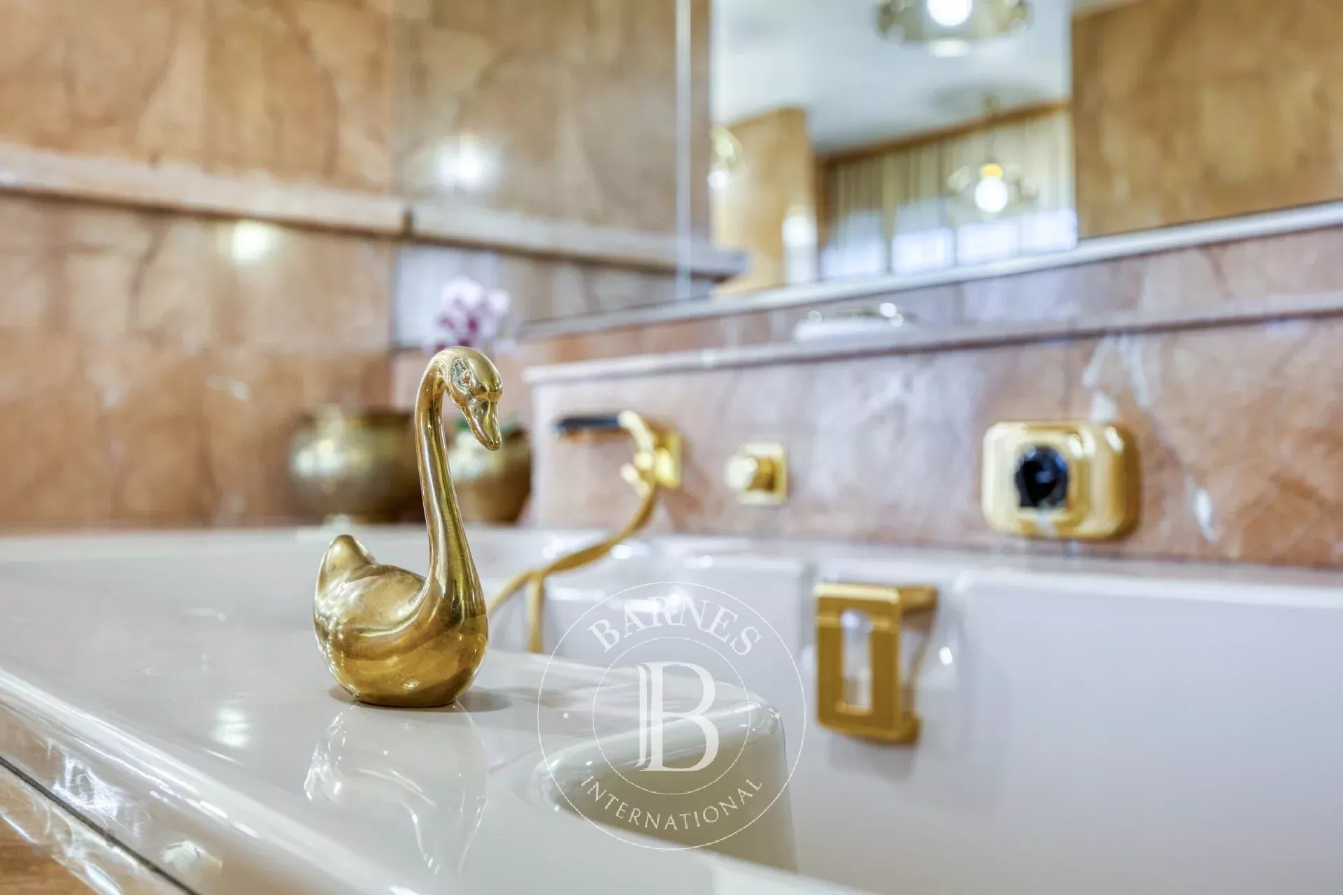 Daire Annemasse - picture 4