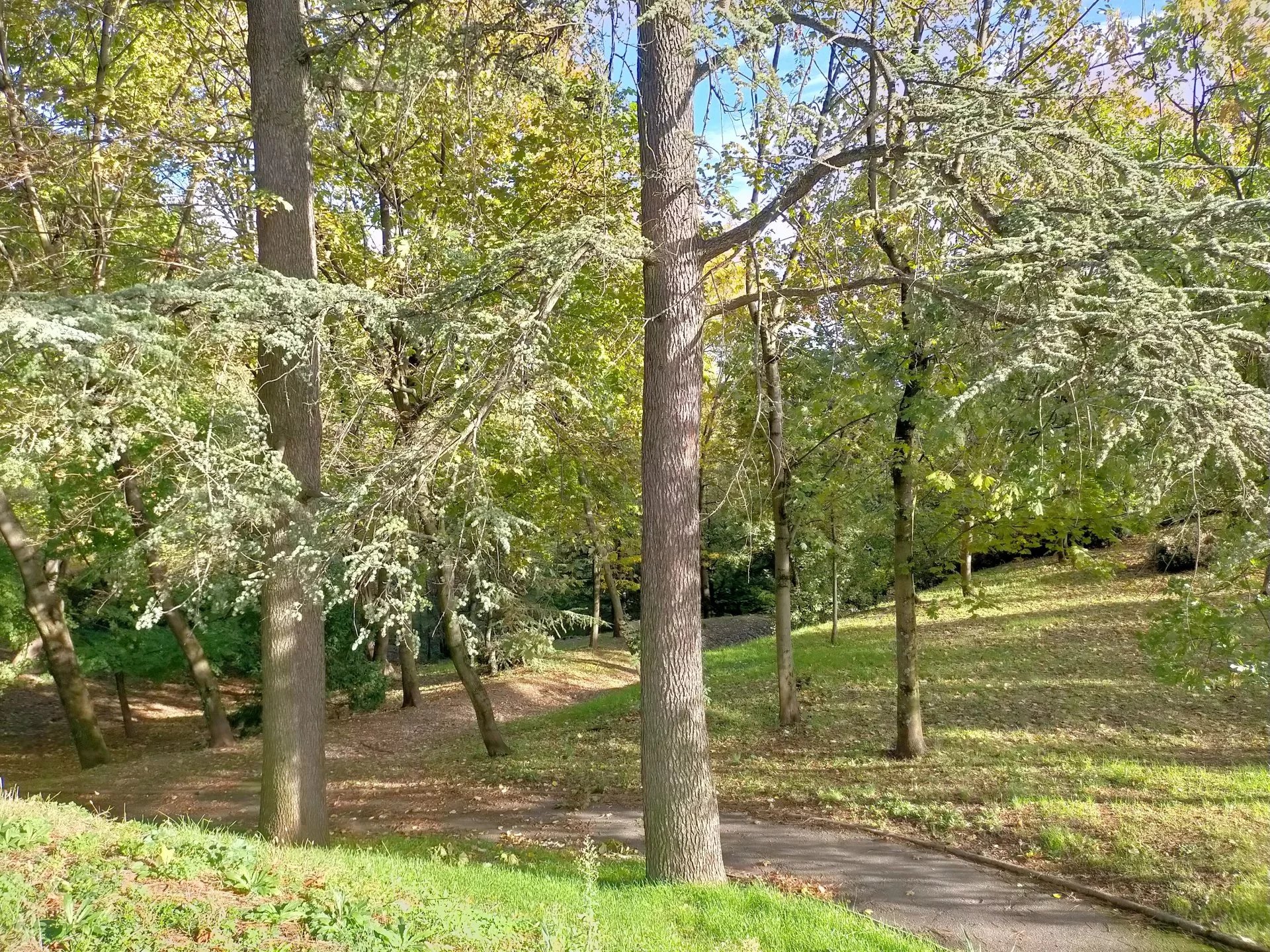 6341054 Location Caluire-et-Cuire