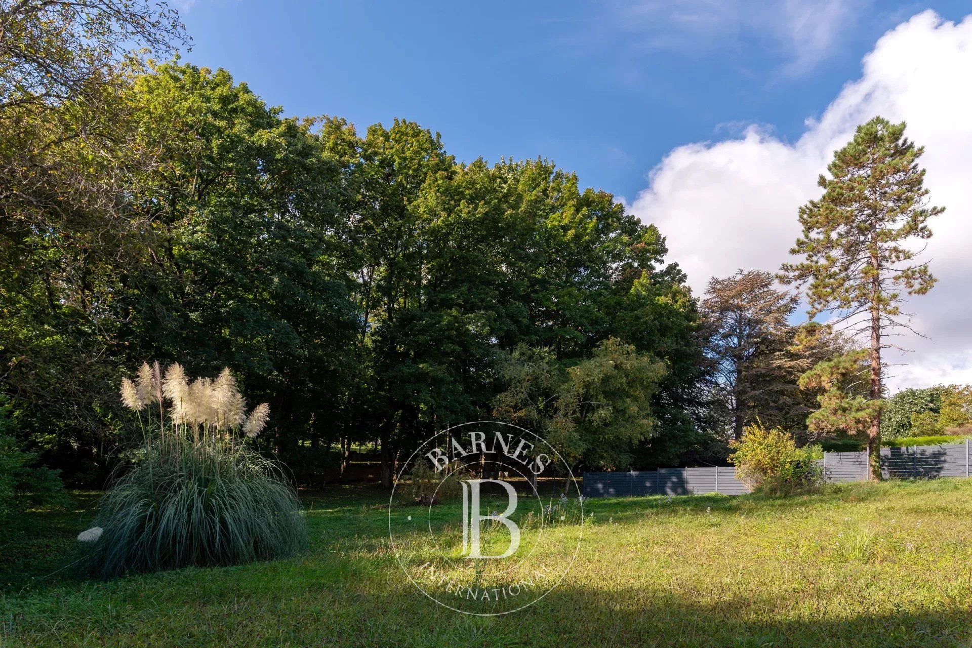 Arazi Saint-Cyr-au-Mont-d'Or