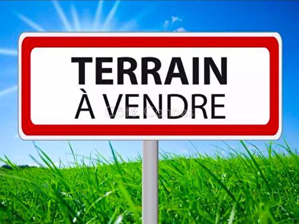 Terrain constructible