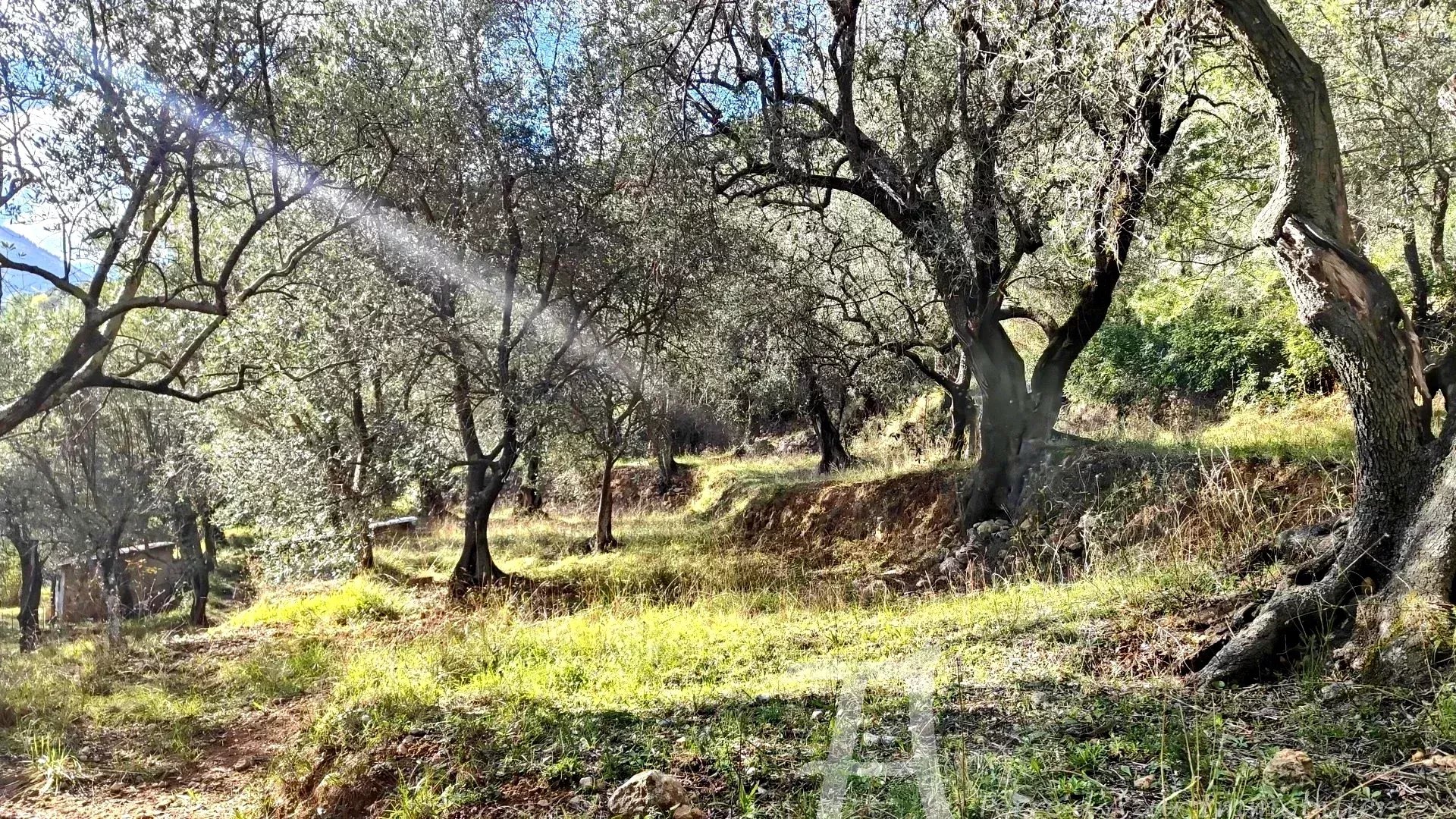 RARE    Terrain constructible plein SUD