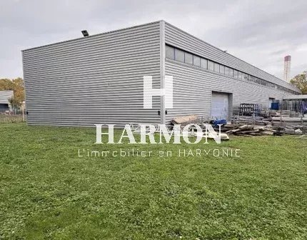 Harmon à vendre : BÂTIMENT D’ACTIVITÉ – TOULOUSE MONLONG - Photo 4