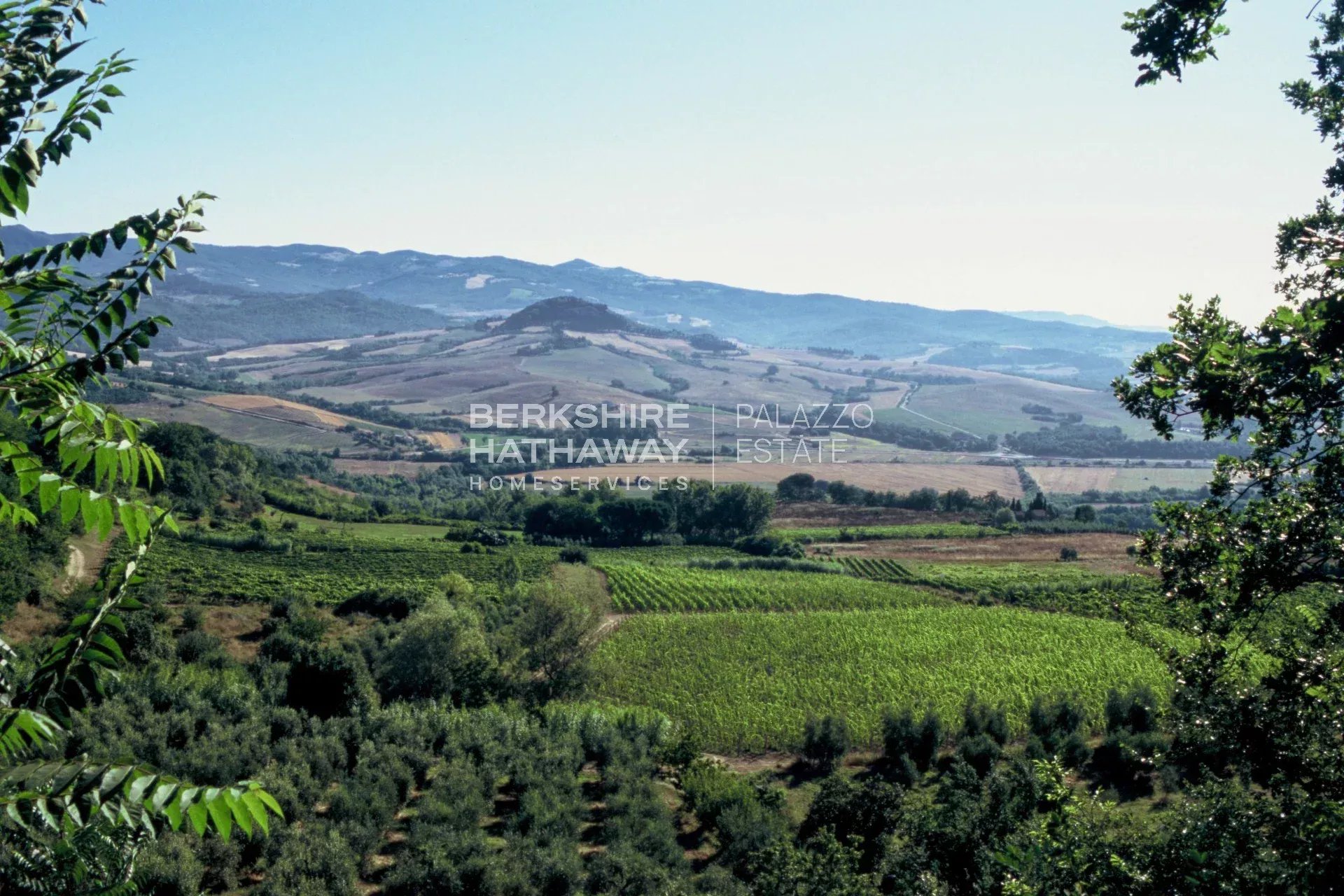 Продажа Винодельческое поместье Montescudaio