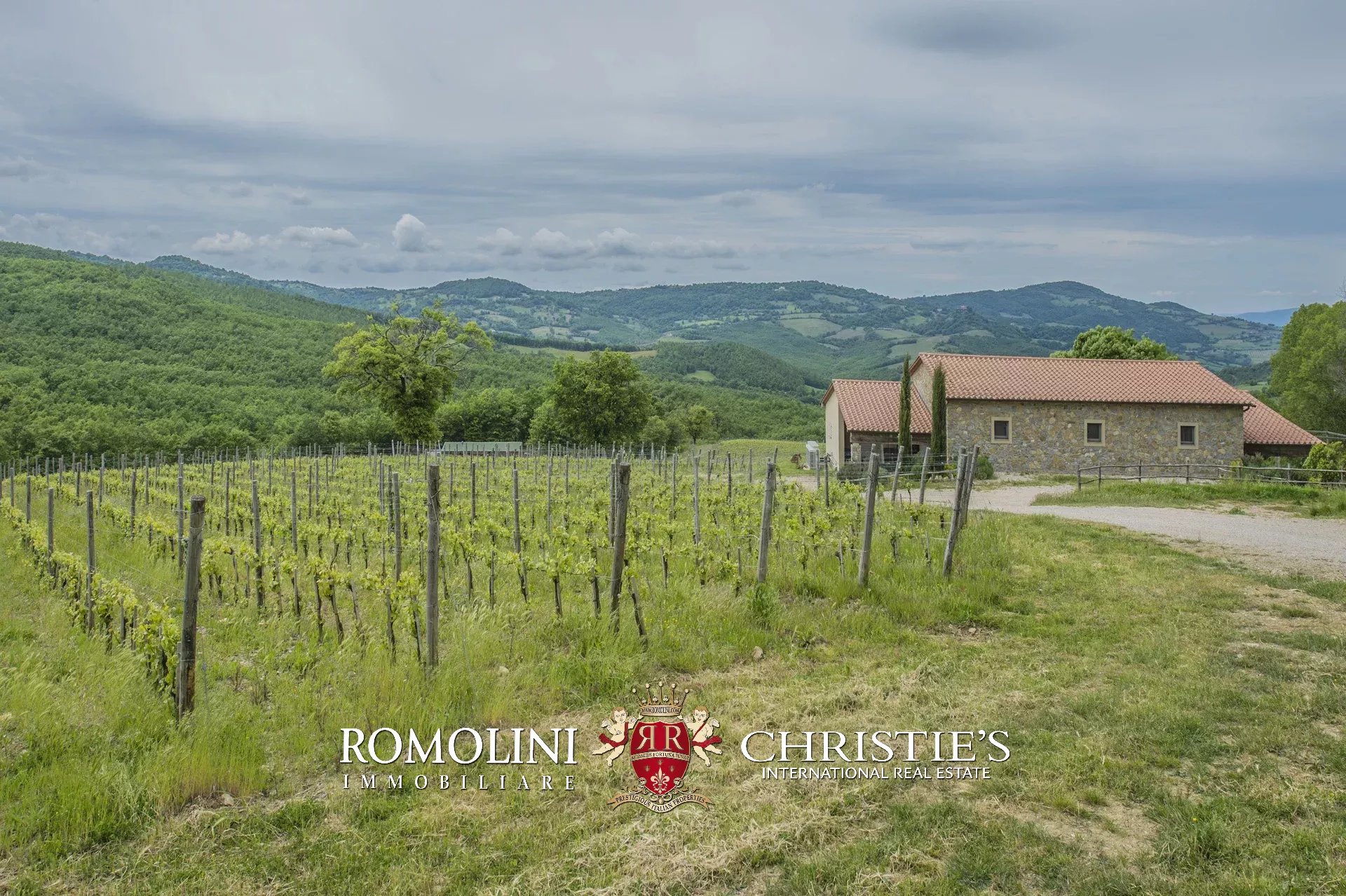 6 Bedroom Vineyard's Image 12