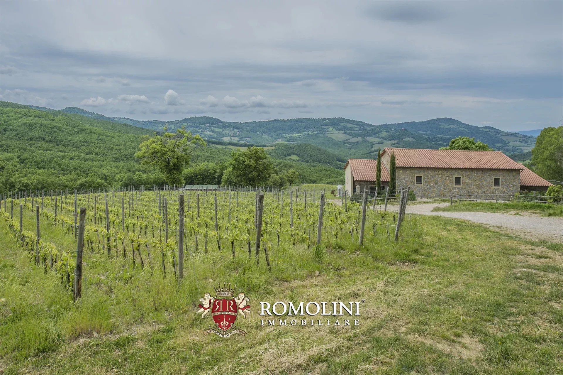 6 Bedroom Vineyard's Image 12