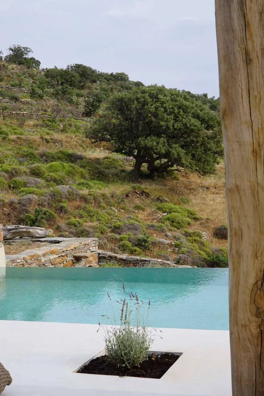 Εικόνα ιδιοκτησίας 21