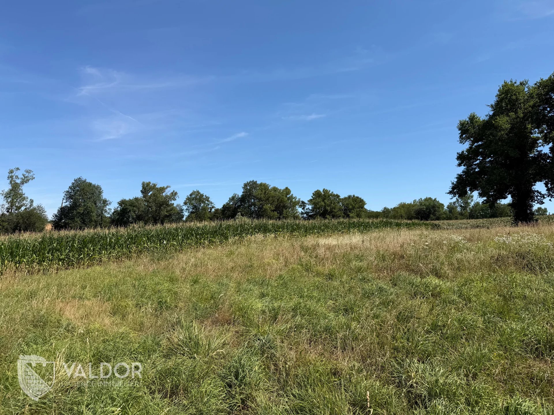 Terrain 367m2