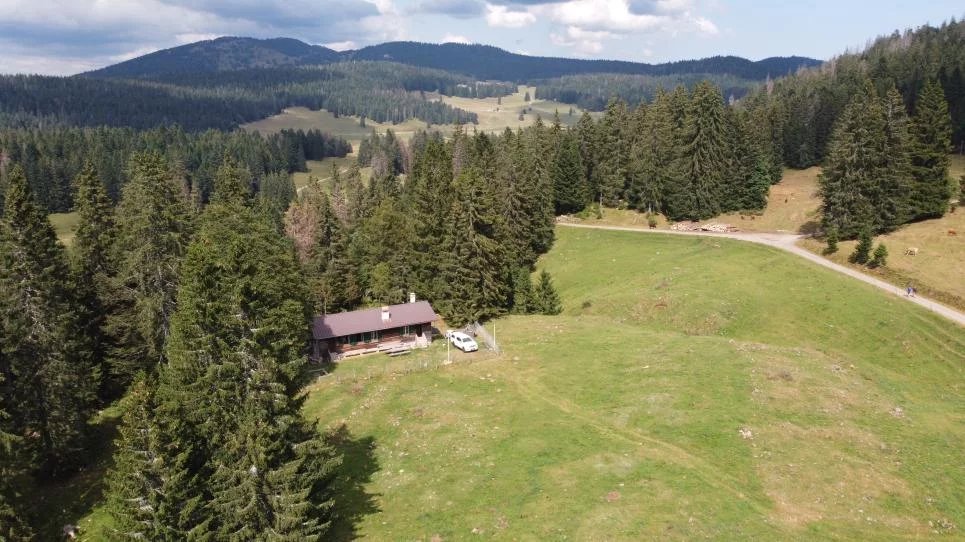 Chalet d'alpage en DDP