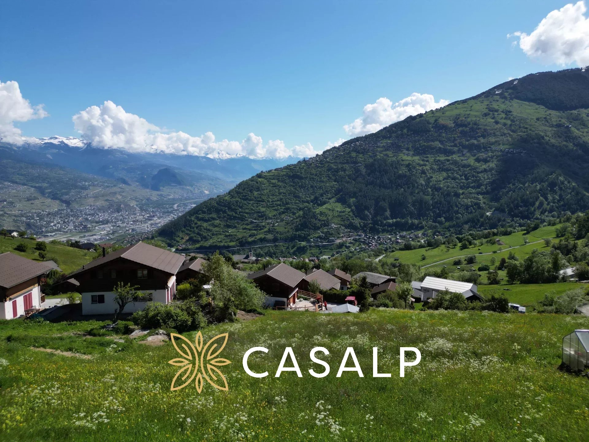 Agence immobilière de CASALP