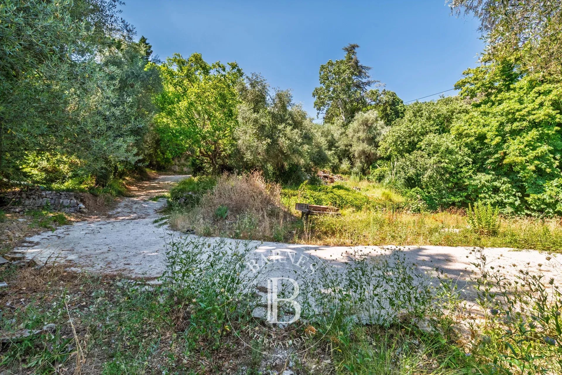 Grasse  - Terrain  - picture 3