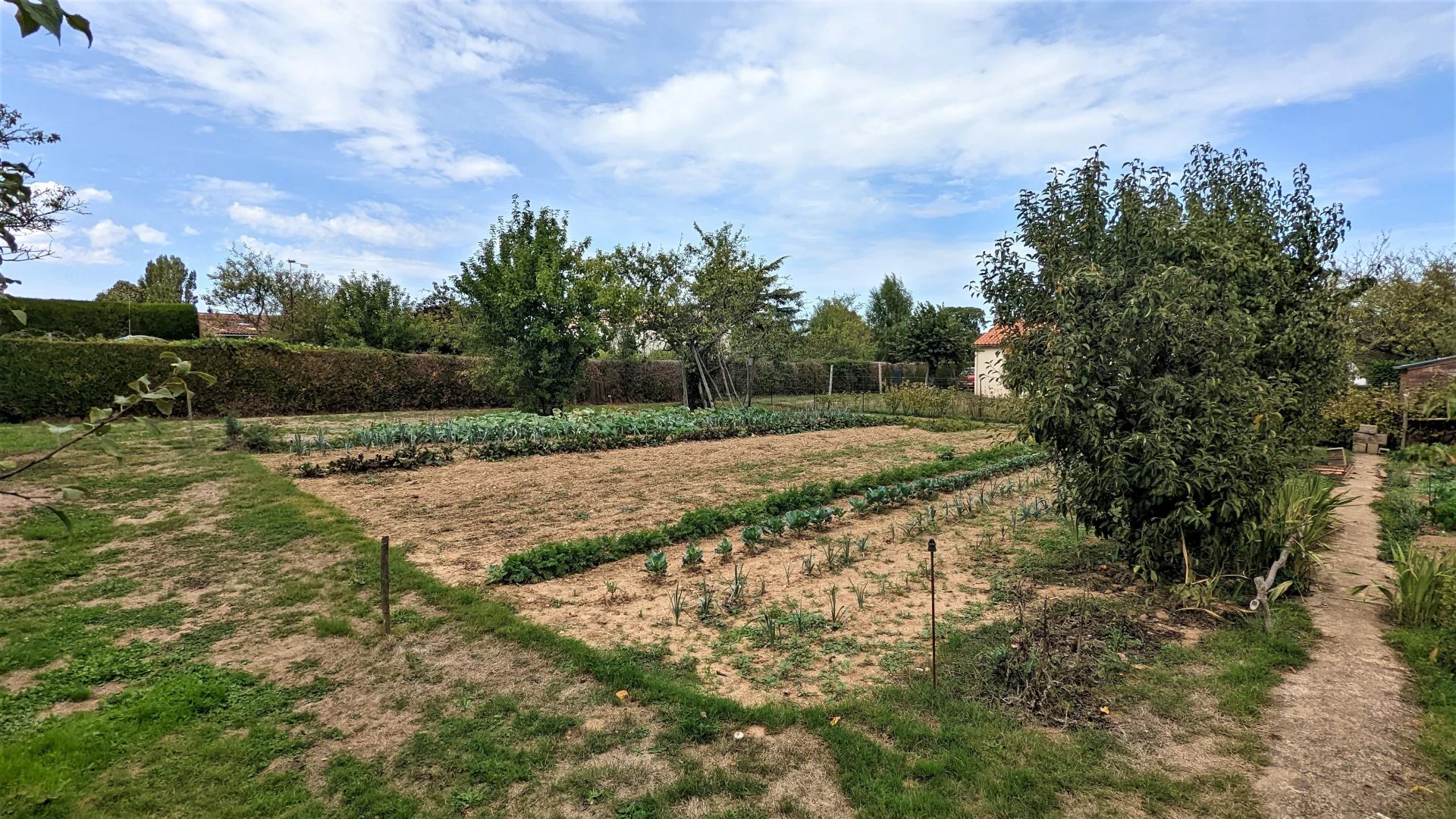 Vente Terrain Cerizay