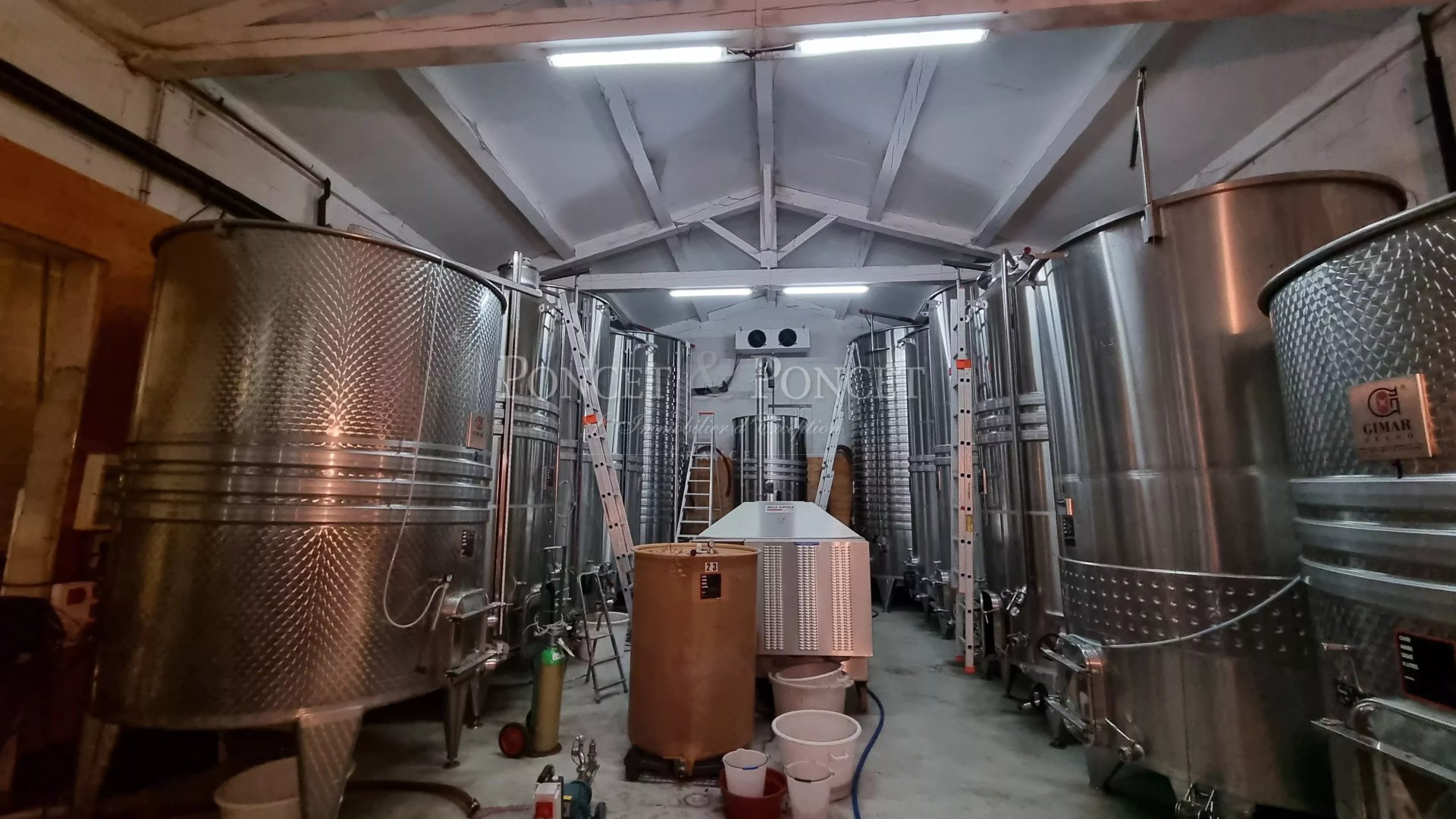 Vineyard's Image 16