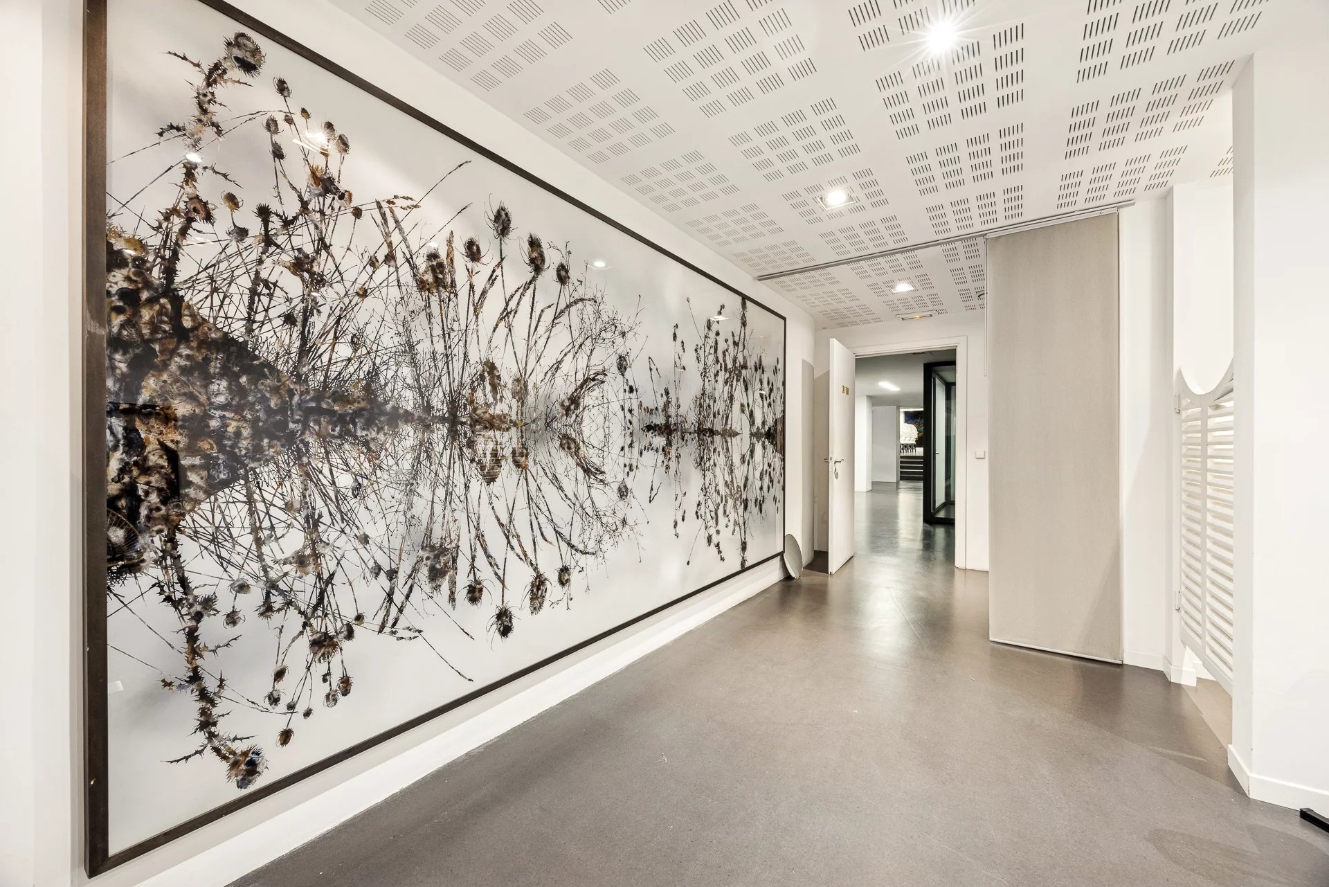 Sale Local Nice Cimiez