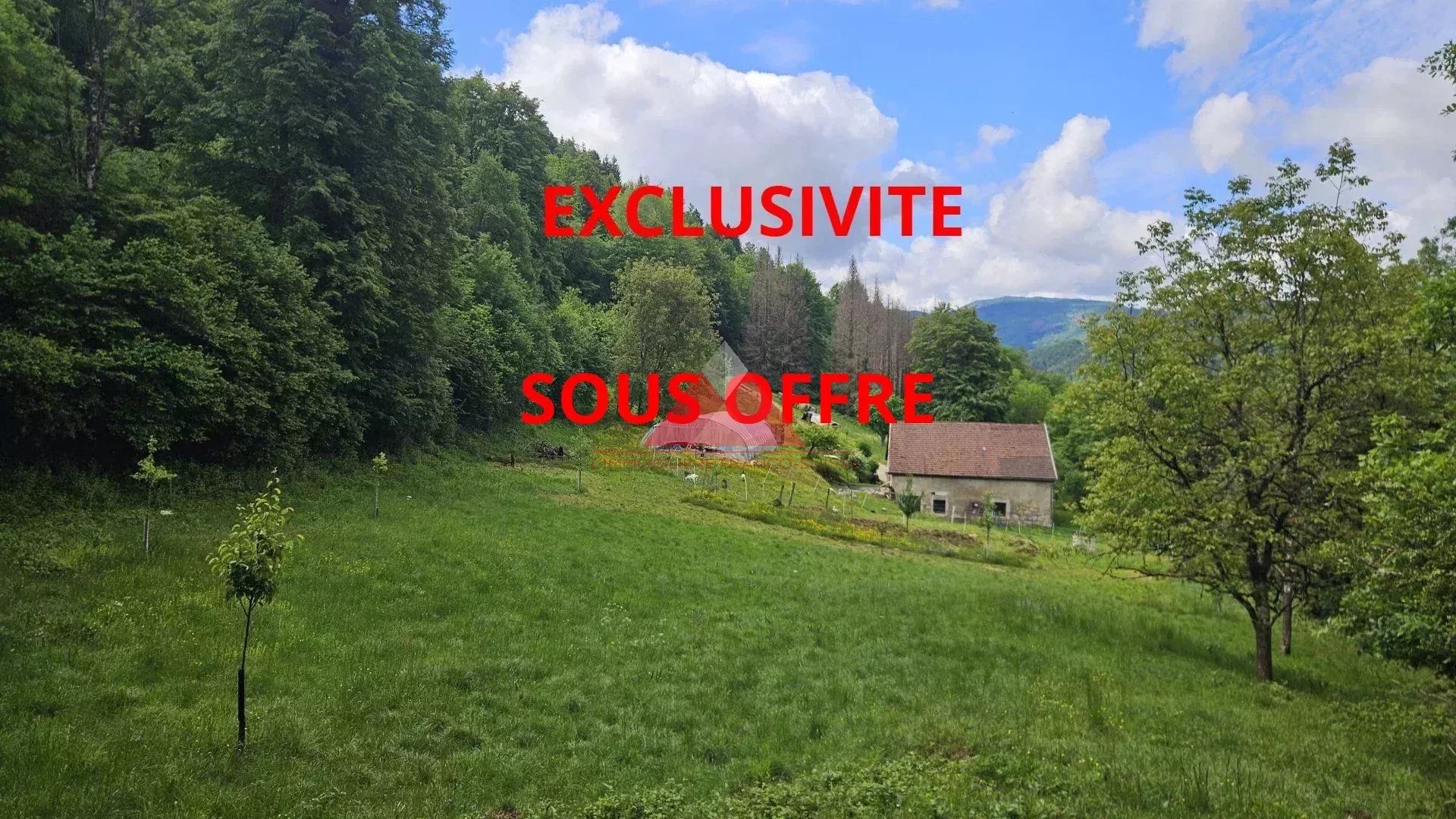 MAISON RENOVEE EN PLEINE NATURE