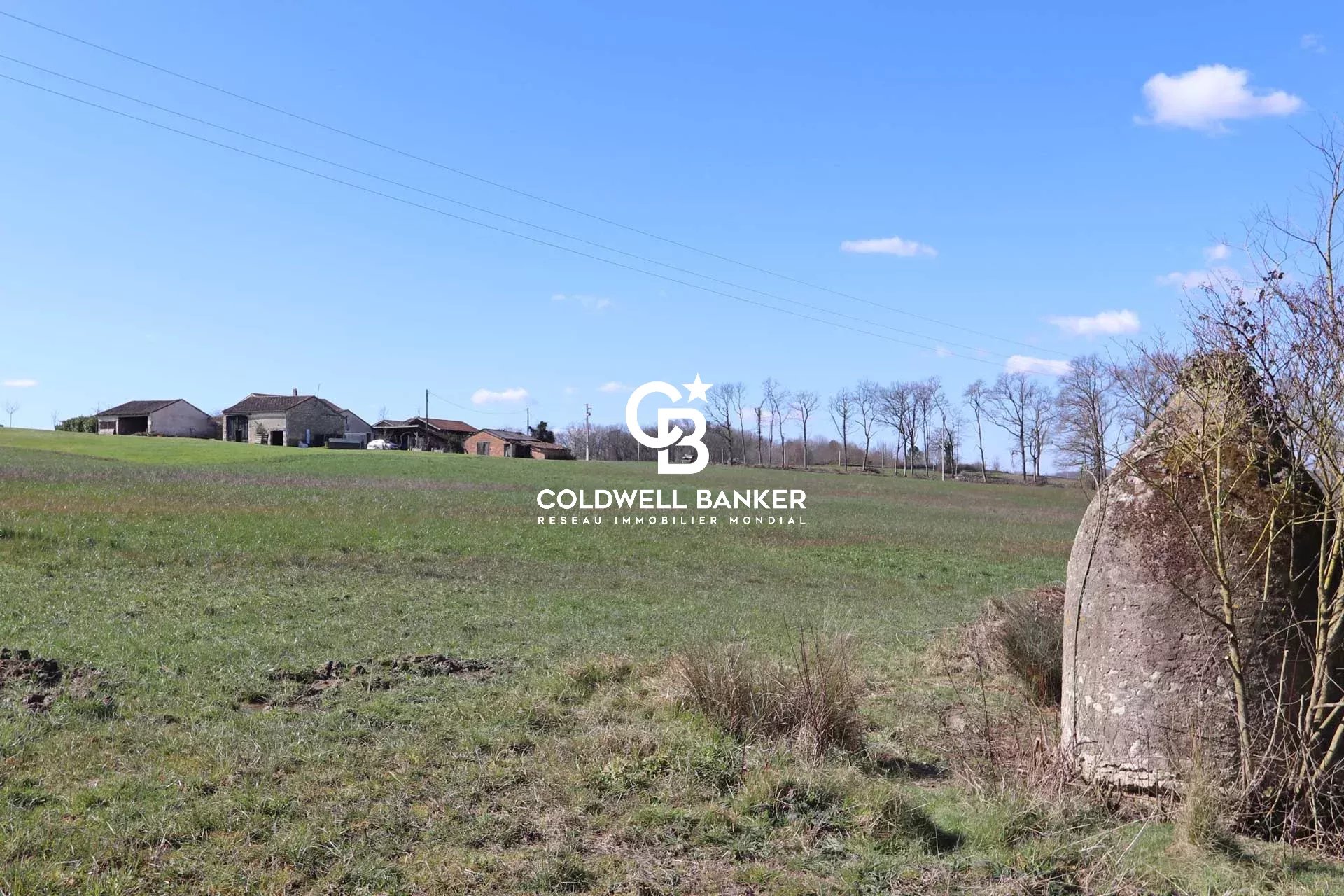 Agence immobilière de Bordeaux Premium