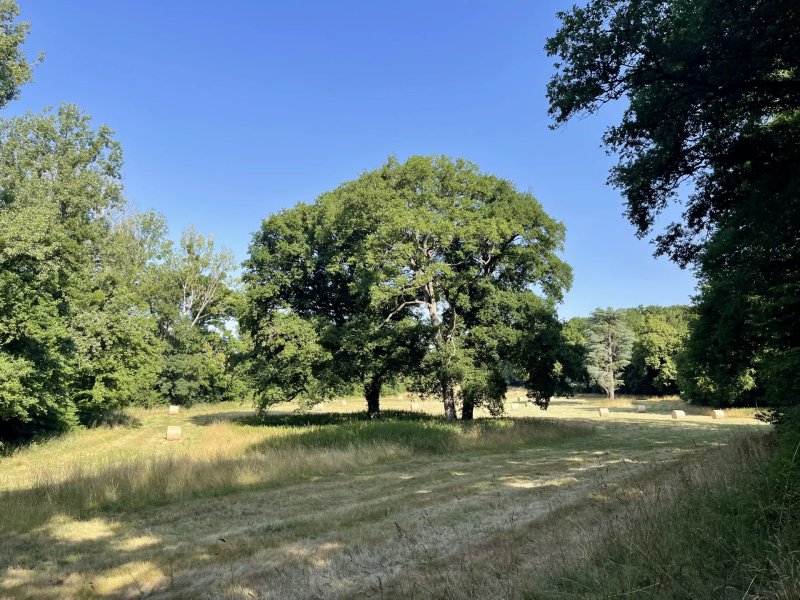 À vendre, Château Saint-Martin-des-Bois - picture 2