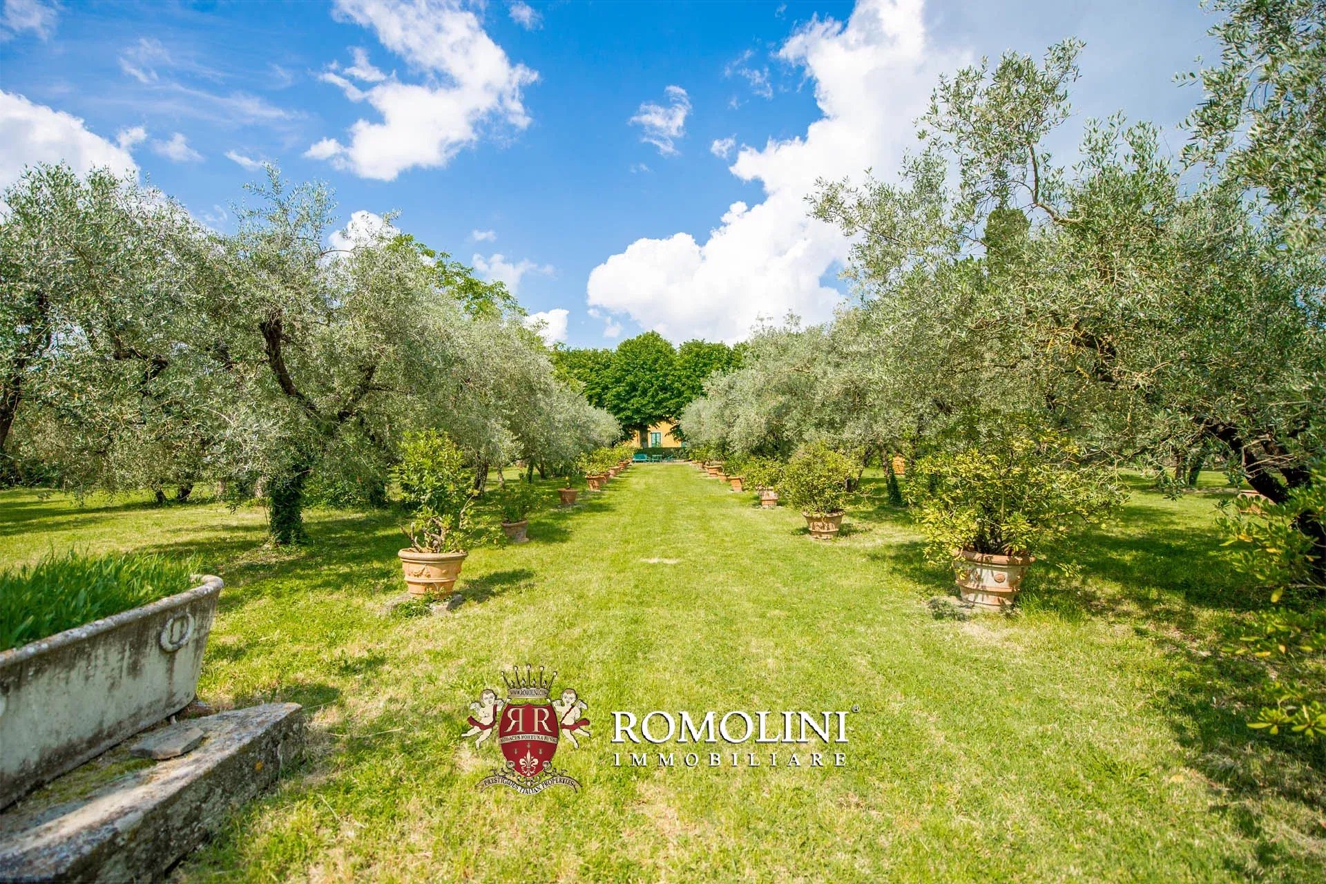 16 Bedroom Vineyard's Image 26