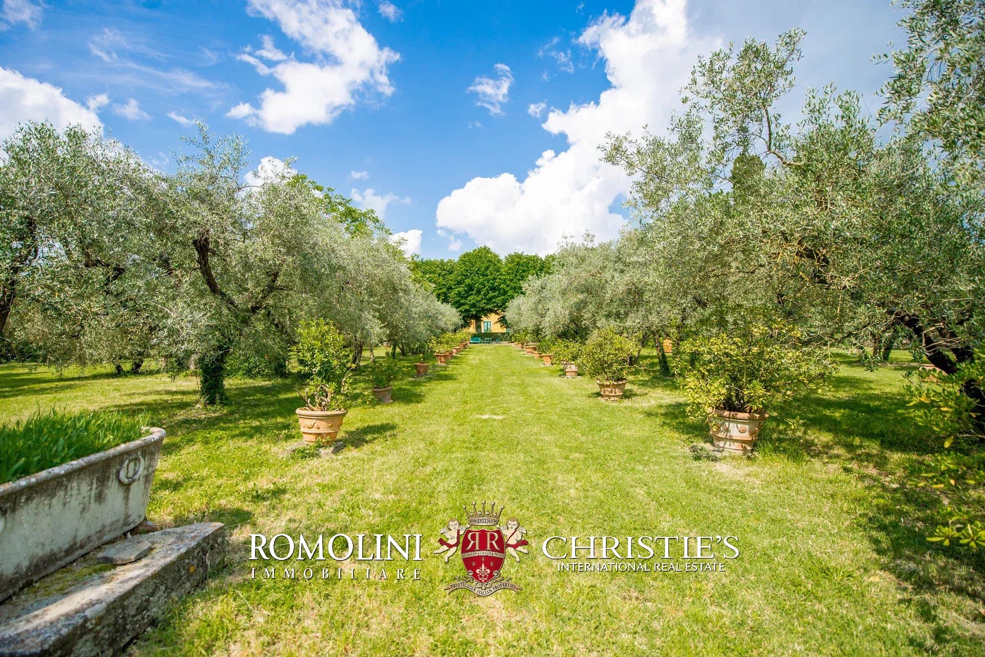 16 Bedroom Vineyard's Image 26