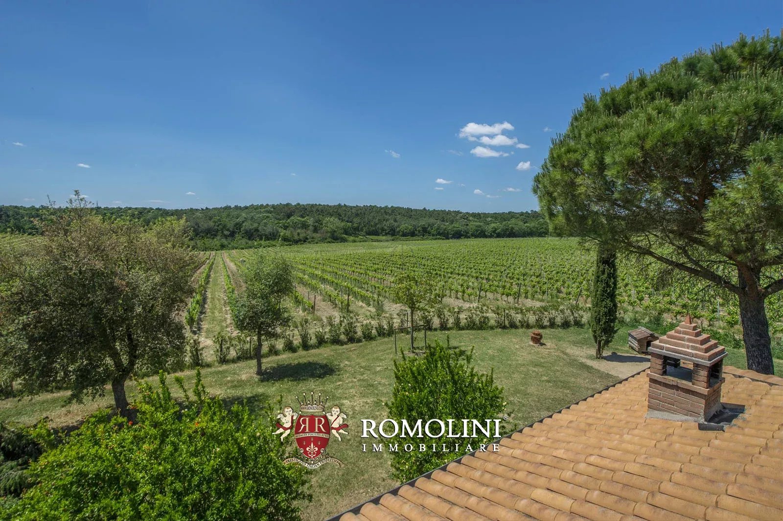 7 Bedroom Vineyard's Image 5