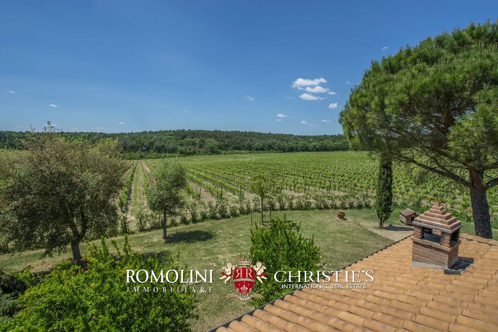 7 Bedroom Vineyard's Image 5