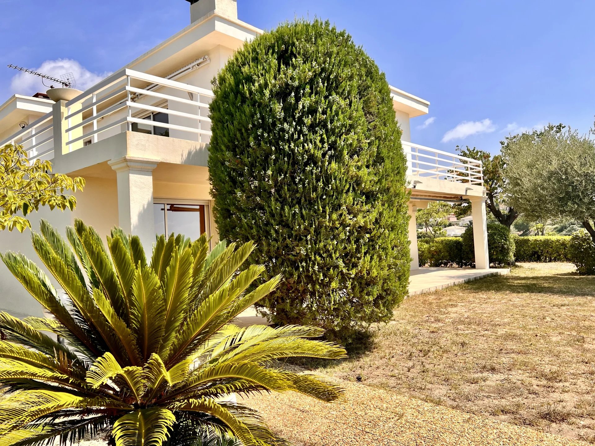 Agence immobilière de Mister Property Cagnes-sur-Mer