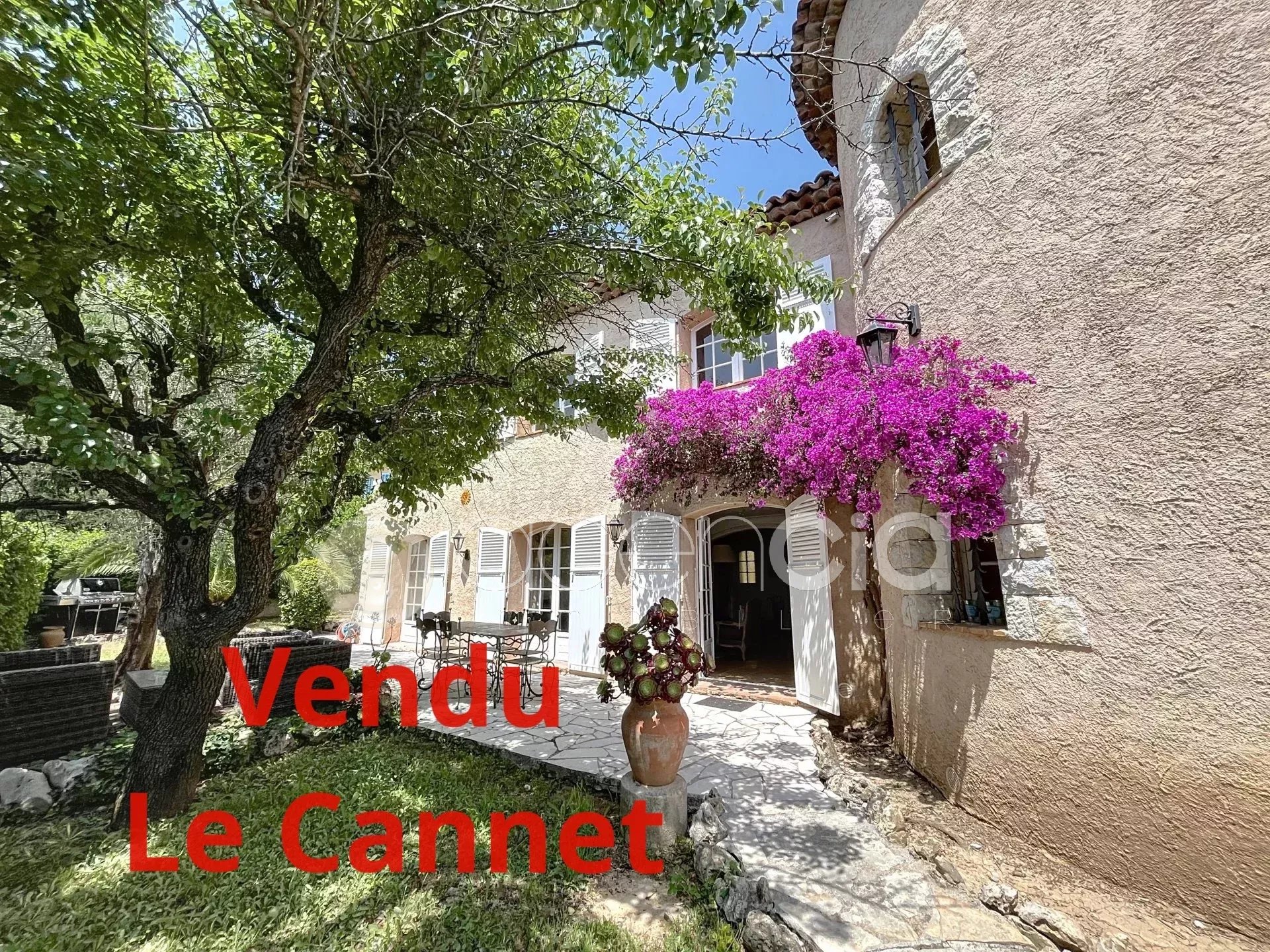 Agence immobilière de Agencia Saint-Pierre