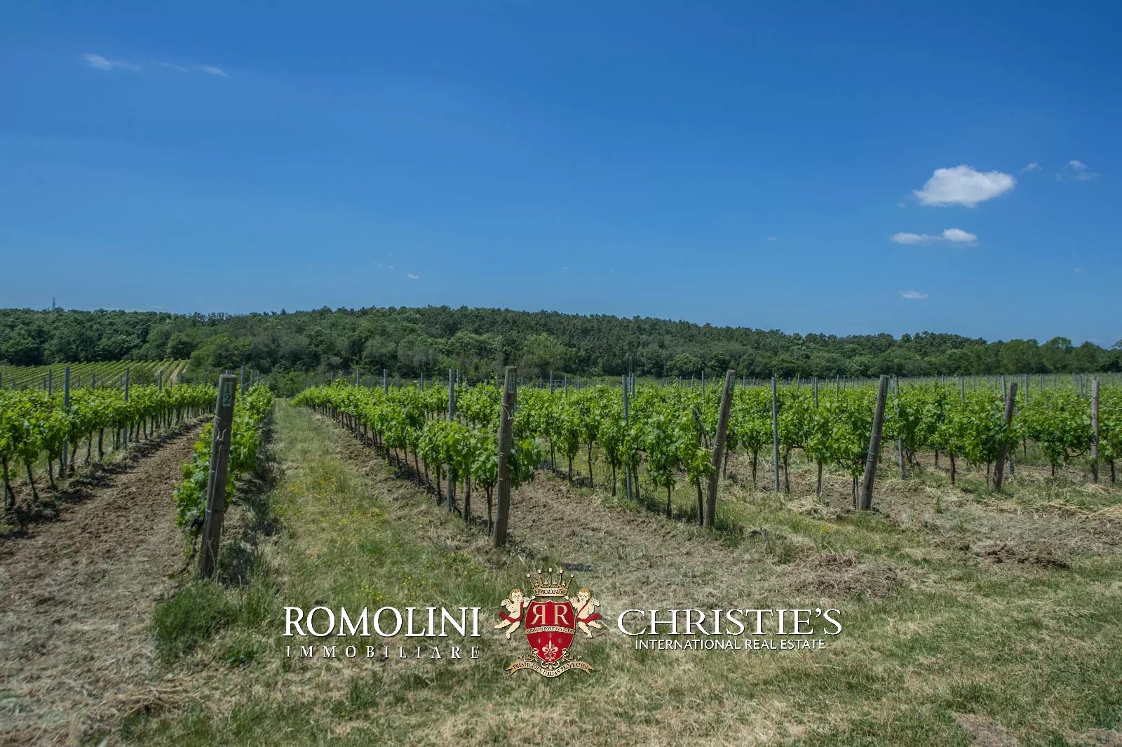 7 Bedroom Vineyard's Image 13