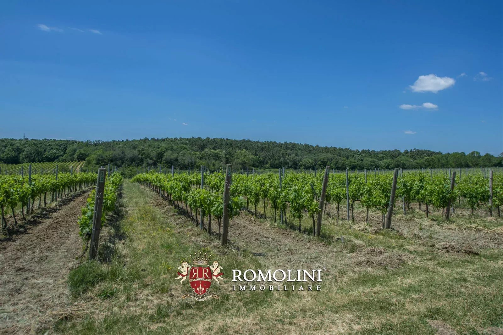 7 Bedroom Vineyard's Image 13